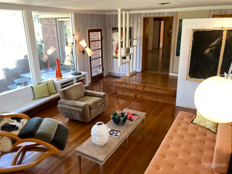  Mid century modern in the woods. 