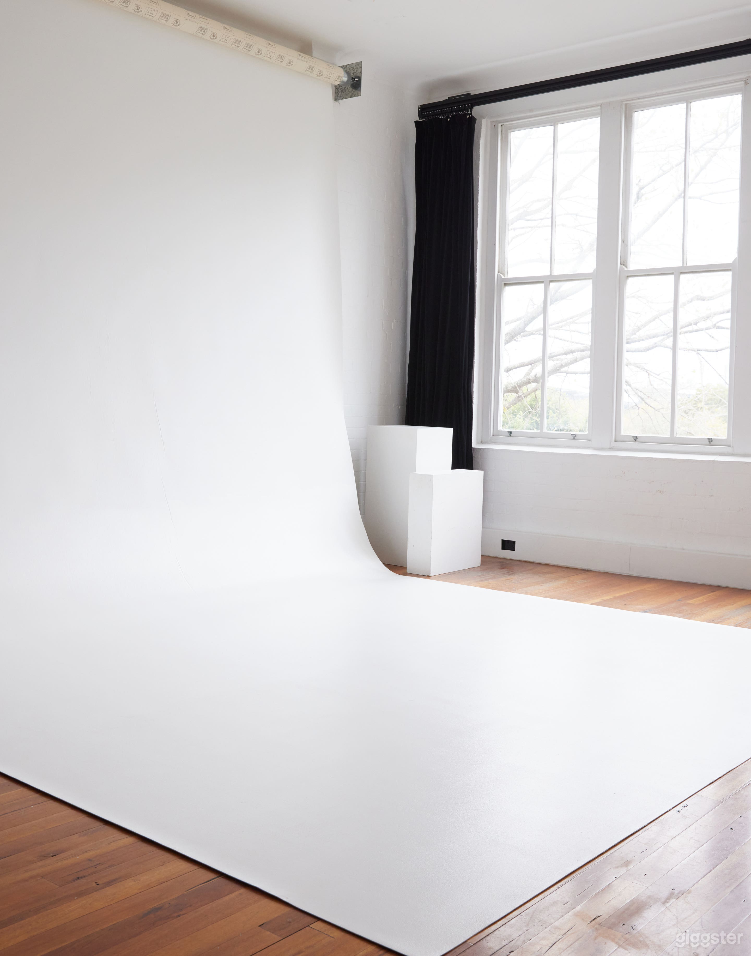 BEAUTIFUL DAYLIGHT STUDIO - SURRY HILLS Photo 3