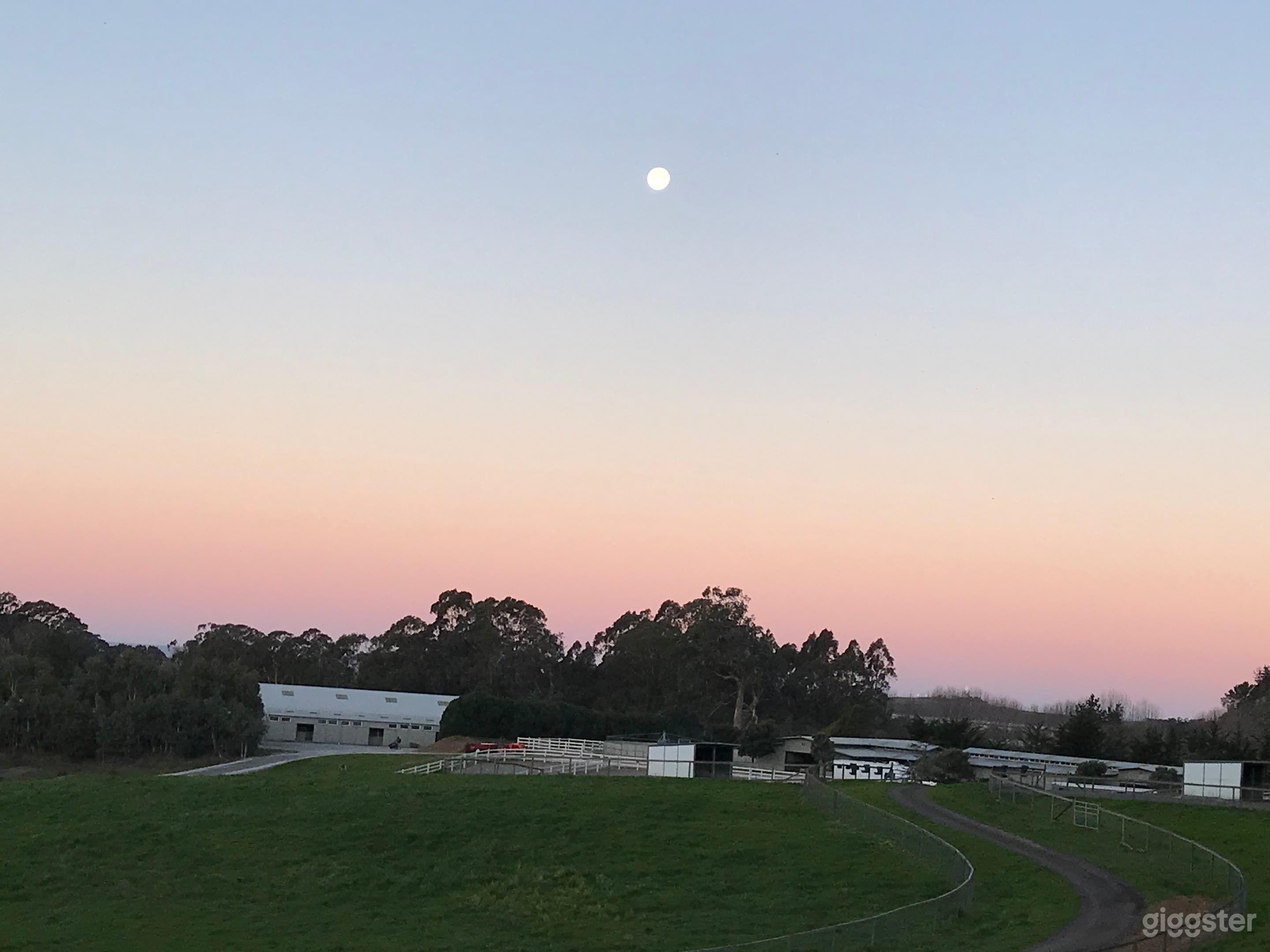 Large Commercial Farm in Half Moon Bay Photo 4