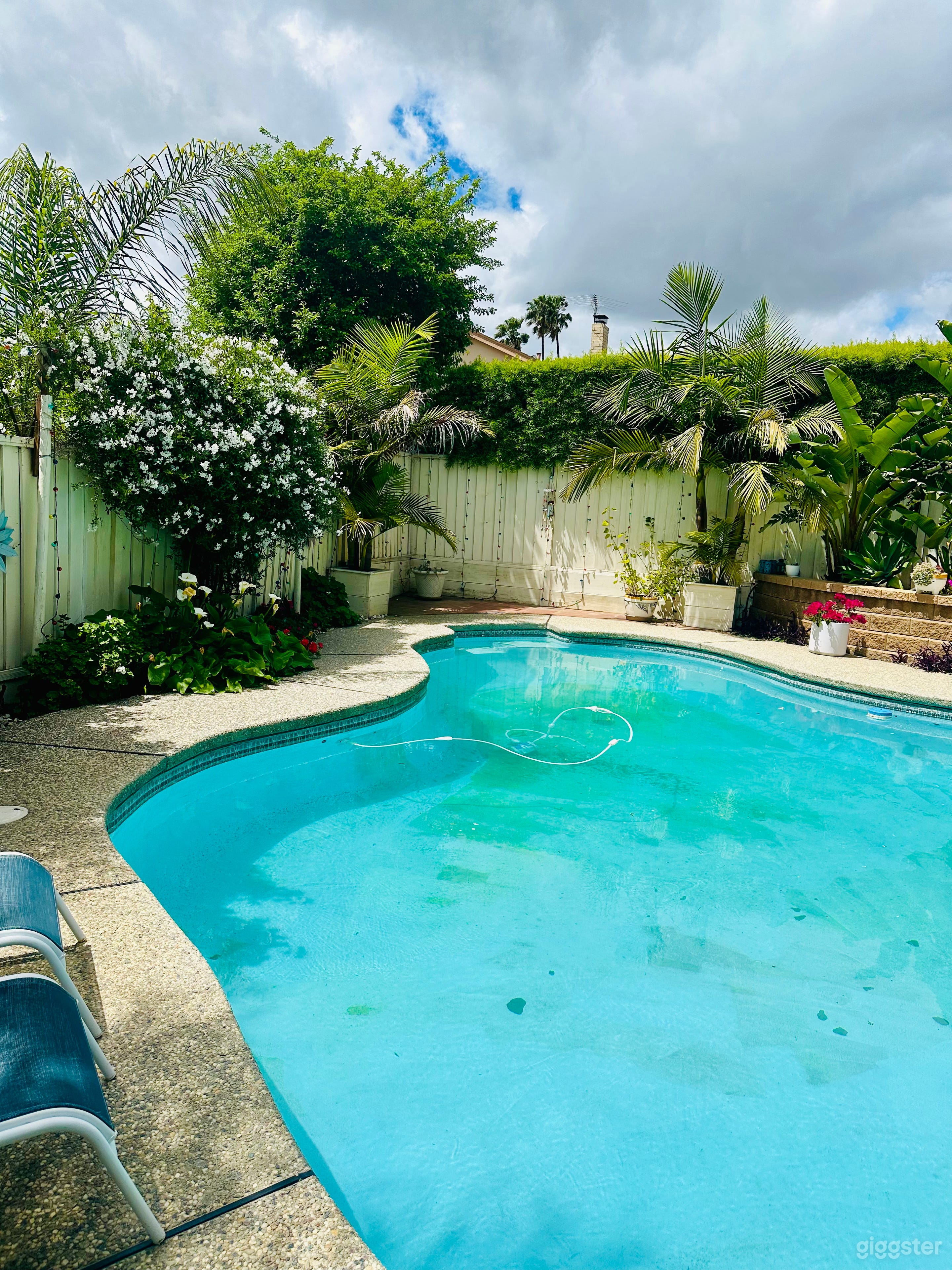 Backyard - Party,PhotoShoots,Small Private Events Photo 4