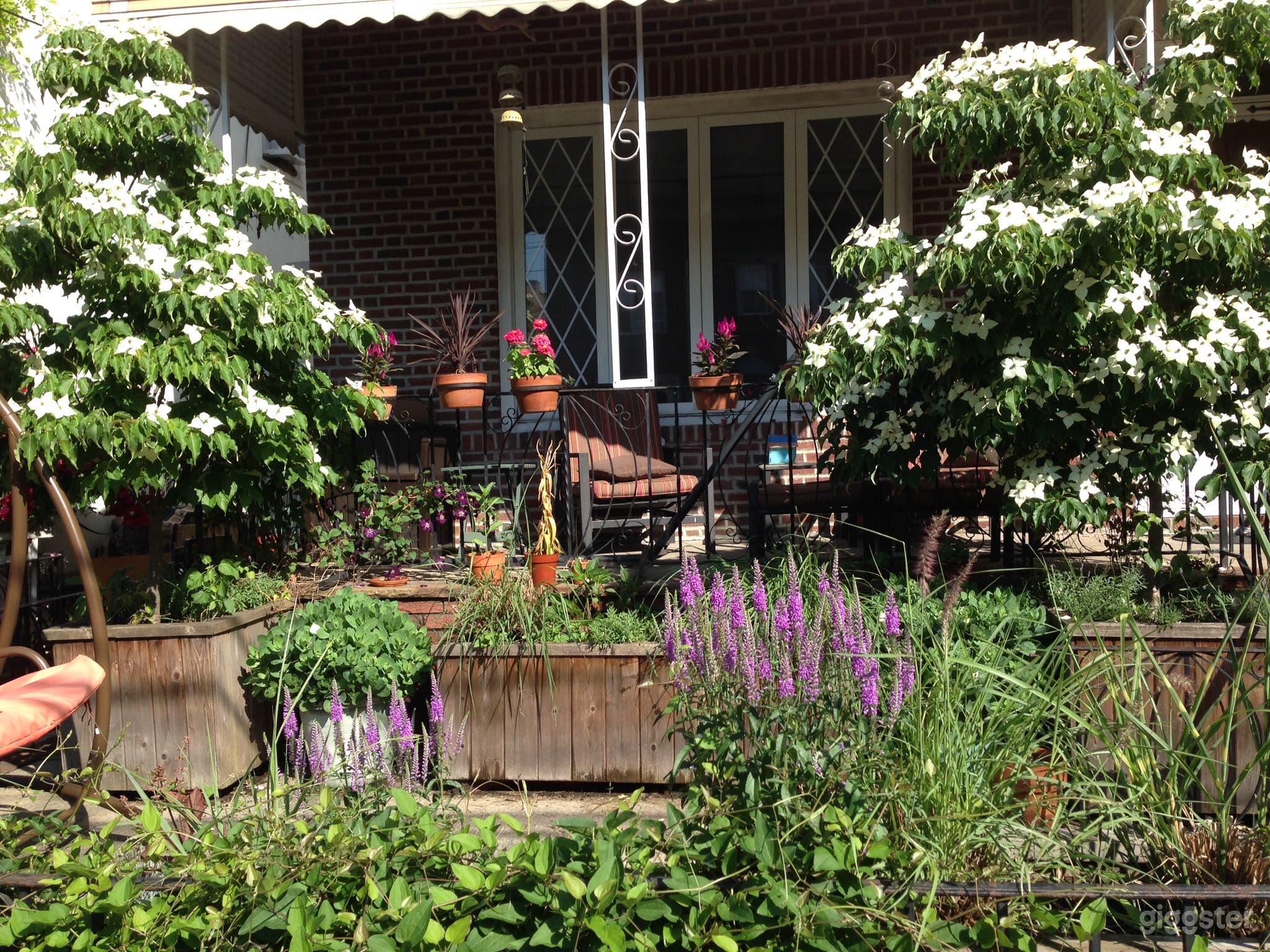 2 br in Astoria NYC  Photo 3