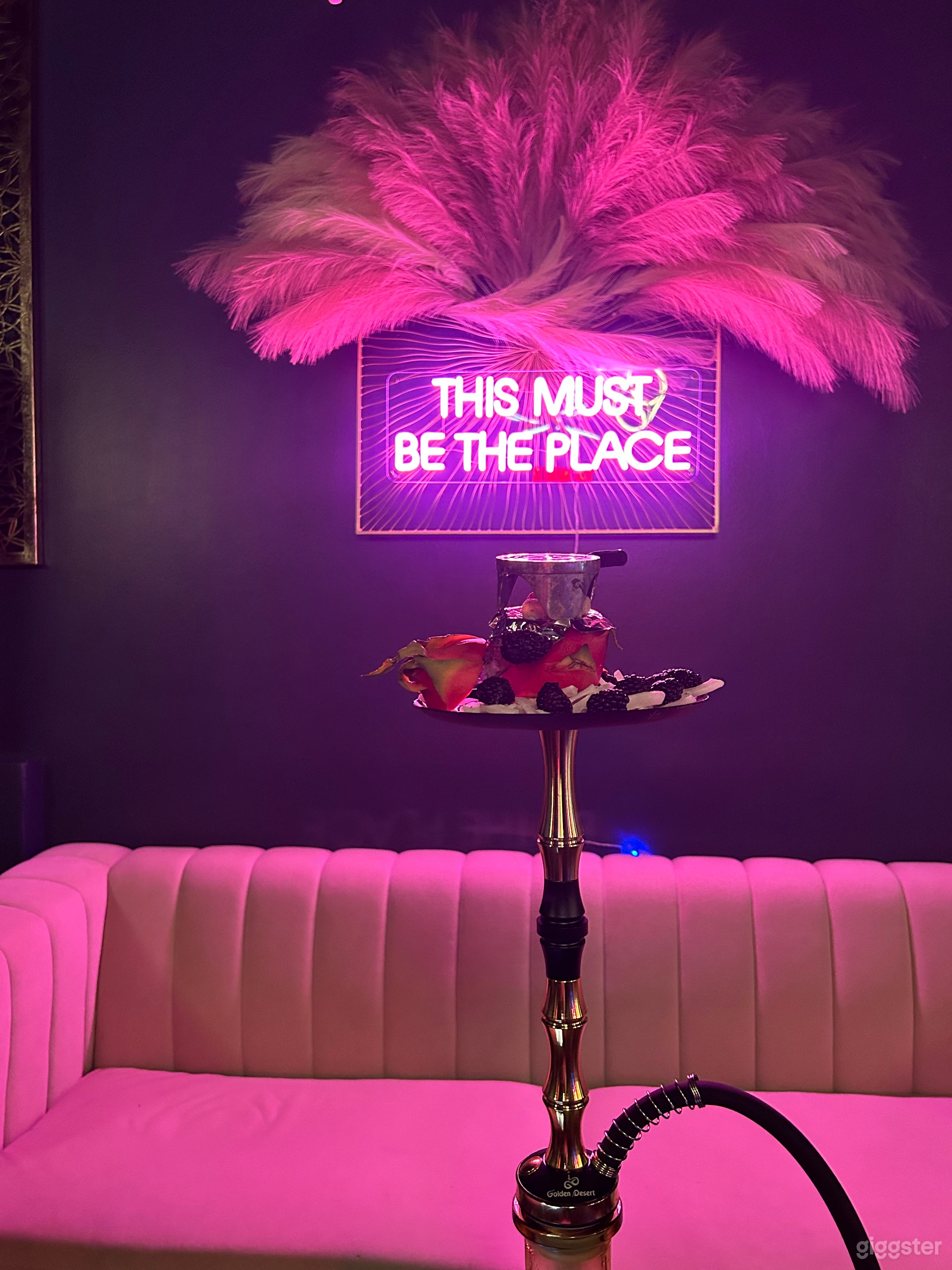 Luxury lounge with a hidden content room  Photo 3