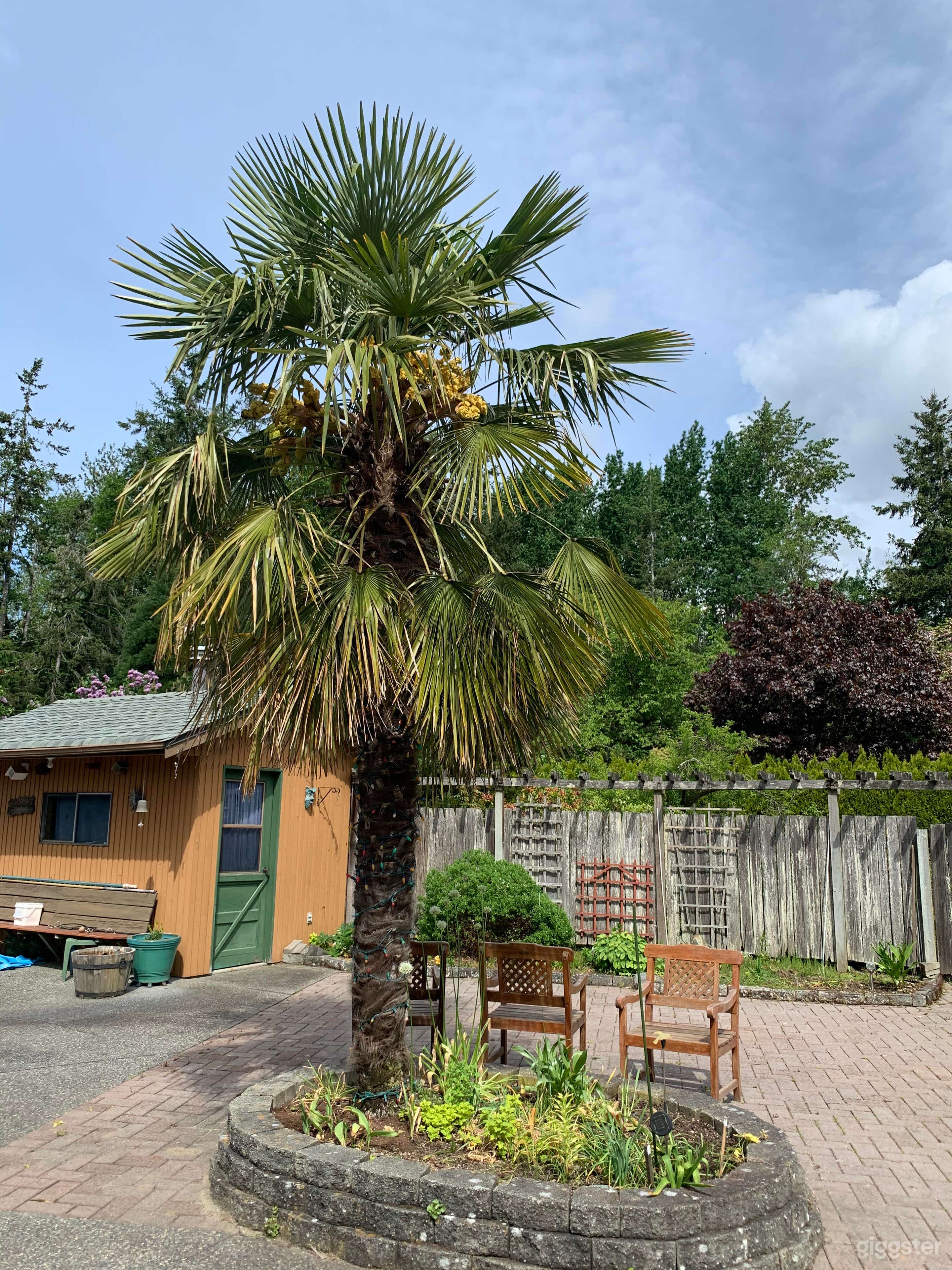 Stunning Flourishing Garden  Photo 2