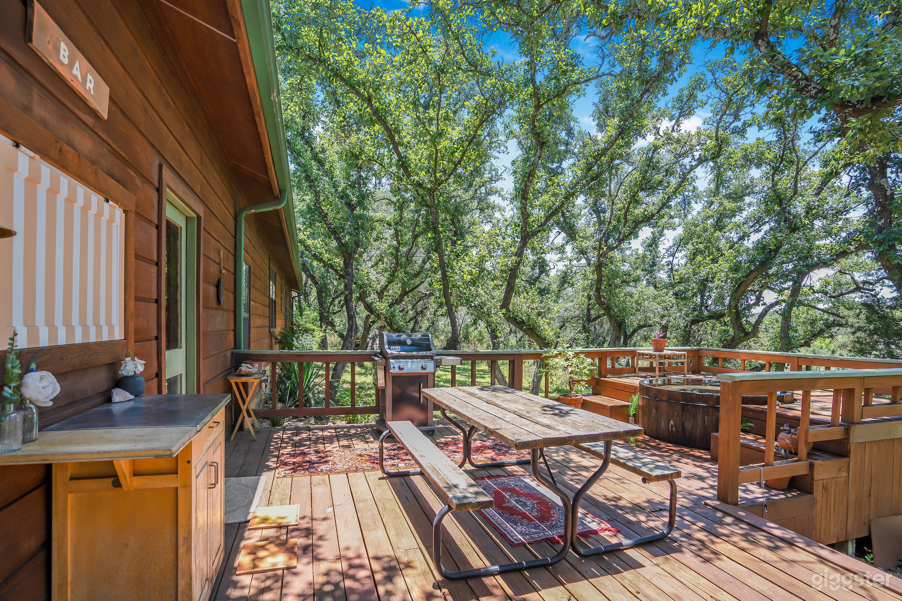 Hill Country Art Nouveau Ranch 2.5  Private Acres  Photo 3