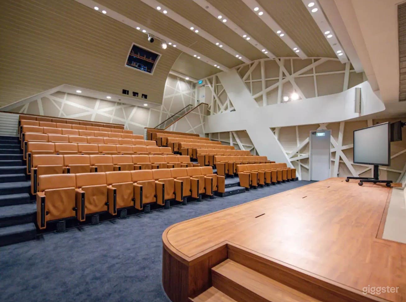 Large Auditorium Photo 4