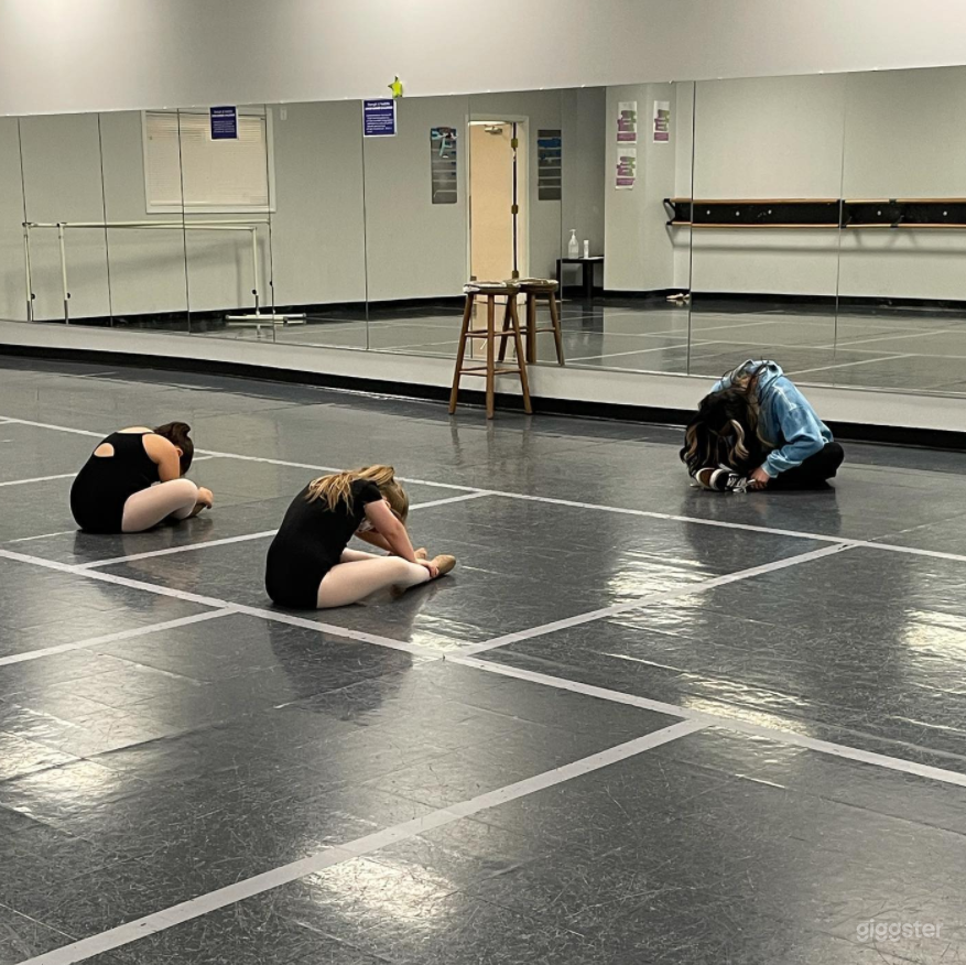 Spacious Dance Studio in Westland Photo 2