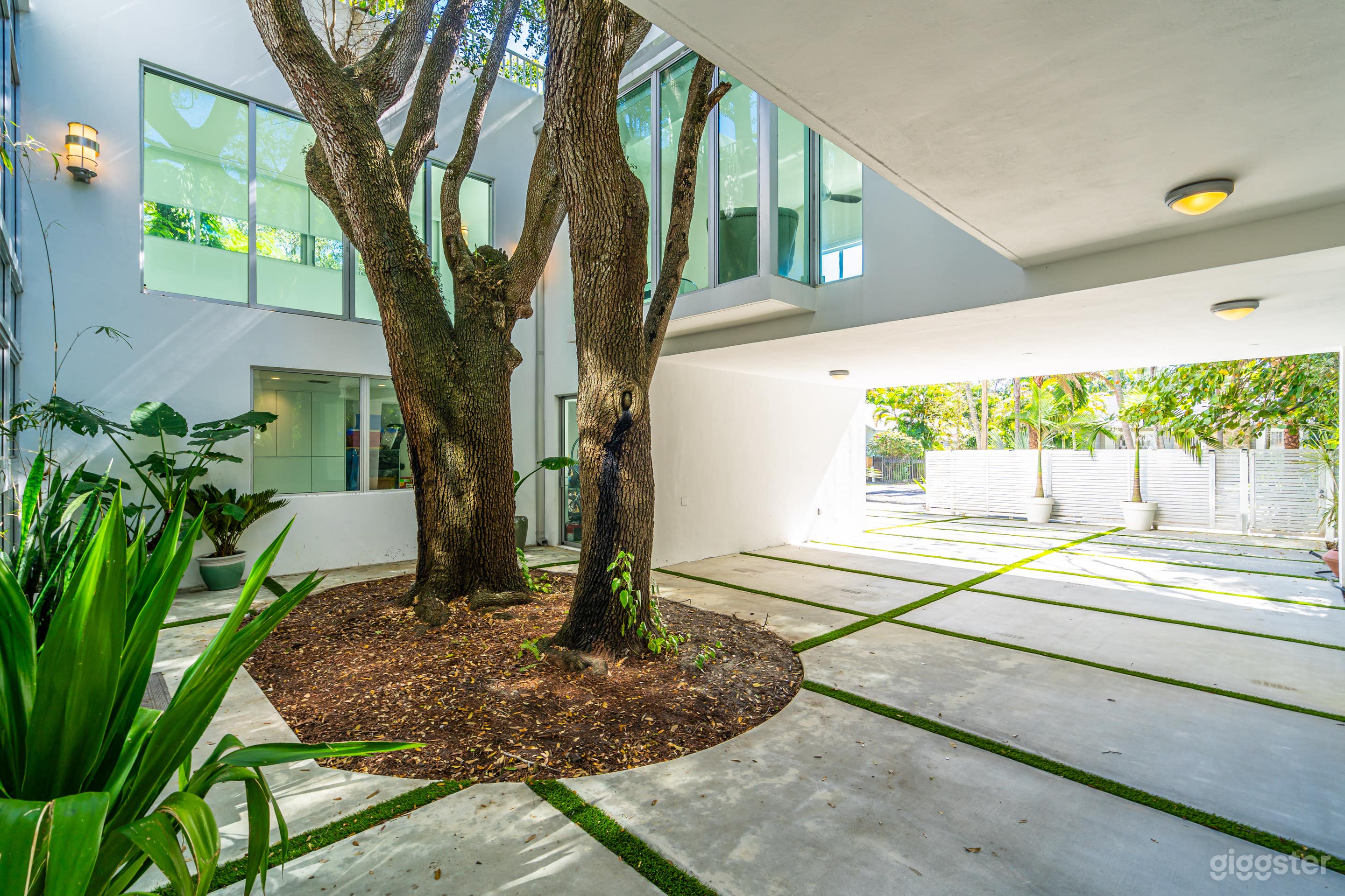  Miami Modern Villa Tropical Rooftop Pool Oasis Photo 3