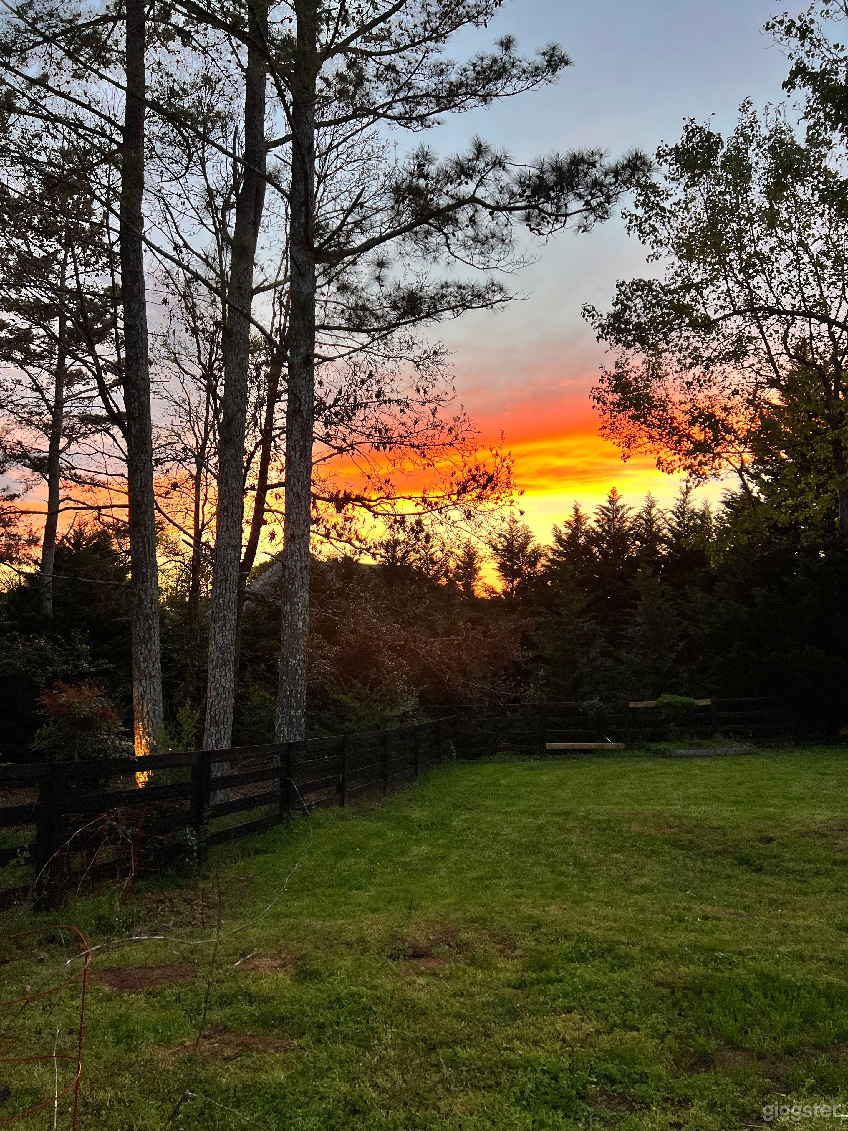 Southern Farmhouse with Pool in Milton Photo 4