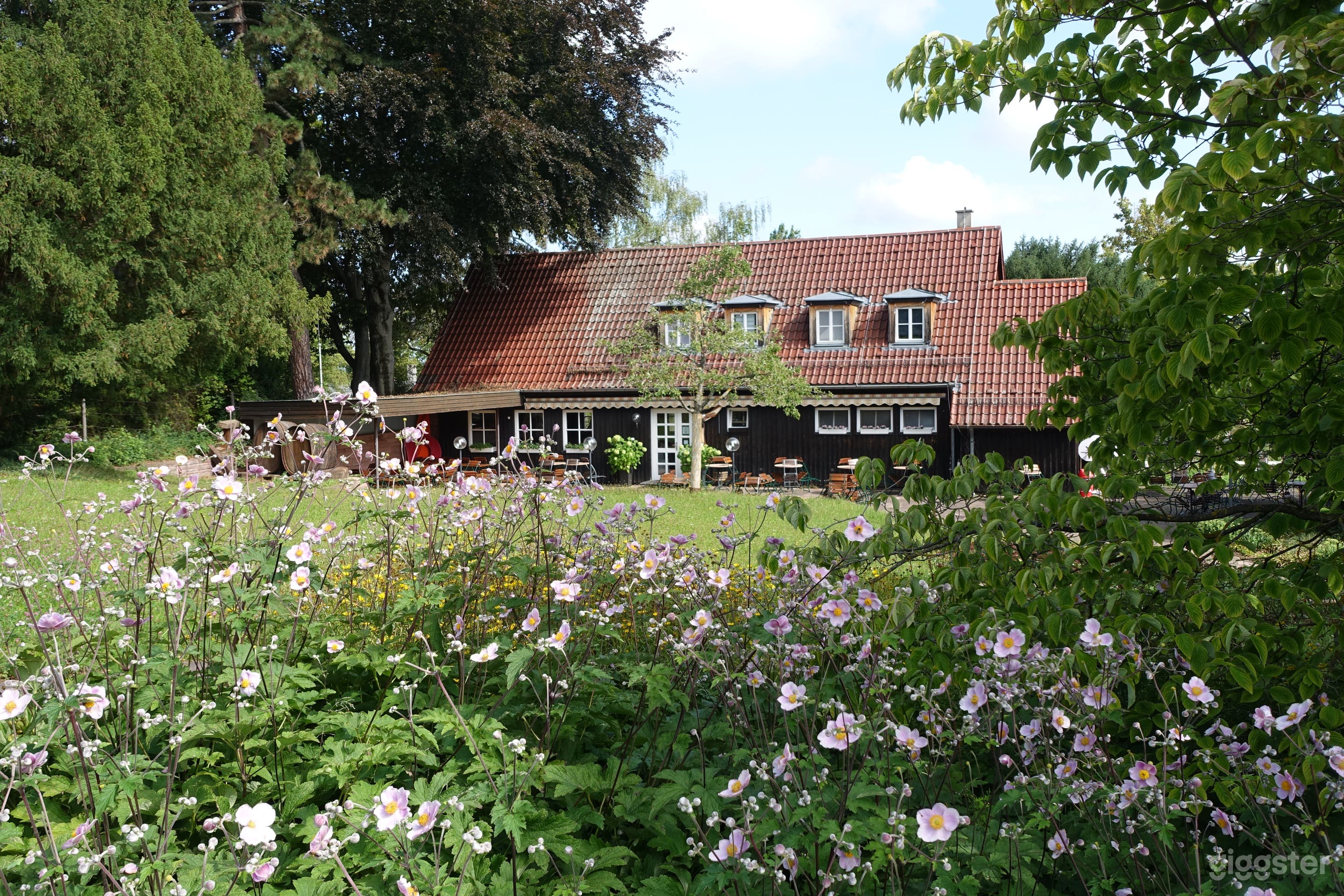 Cozy Green Park Wine Bistro with Garden Terrace Photo 2