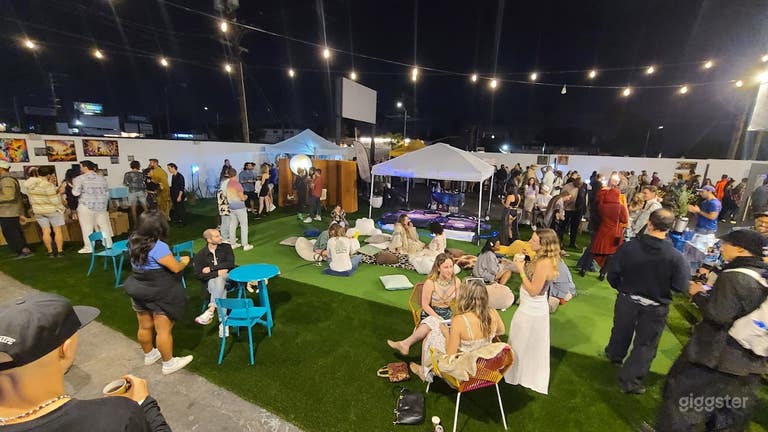  Large scale wellness events and parties 