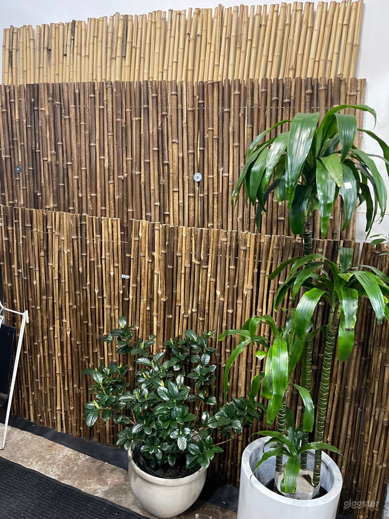  Entertainment Complex 