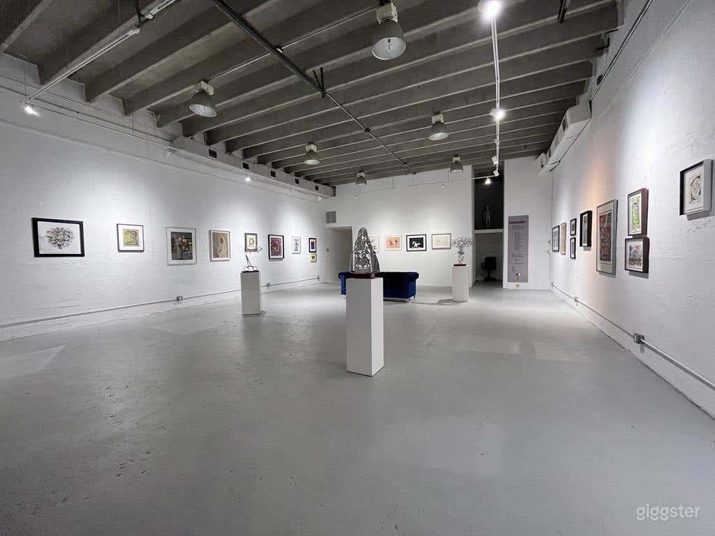 The Multitask Space (Art, Photography, Workhops, Ambience). Photo 1