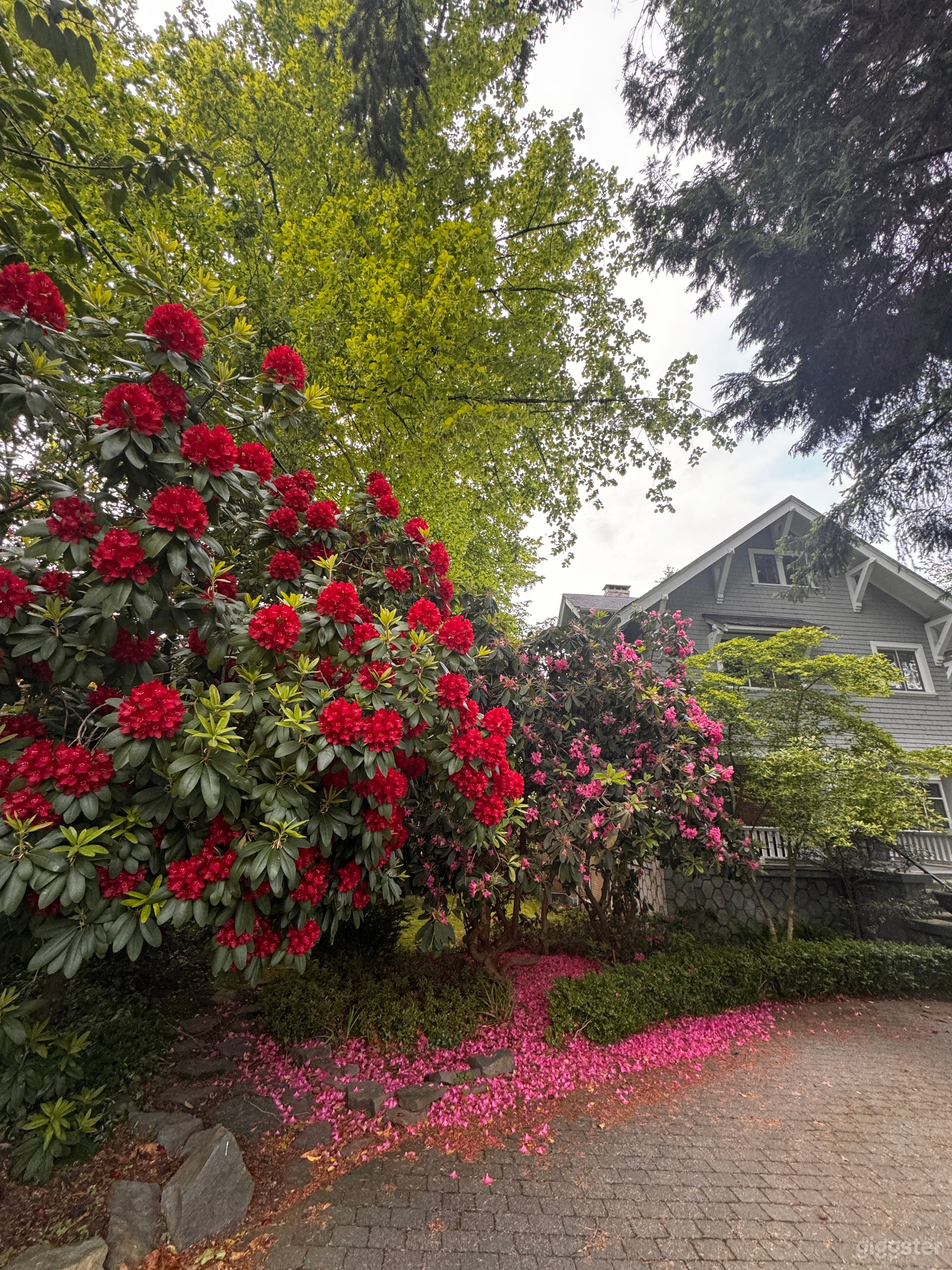 Beautiful garden with apple trees, swings, maples and lounge Photo 3