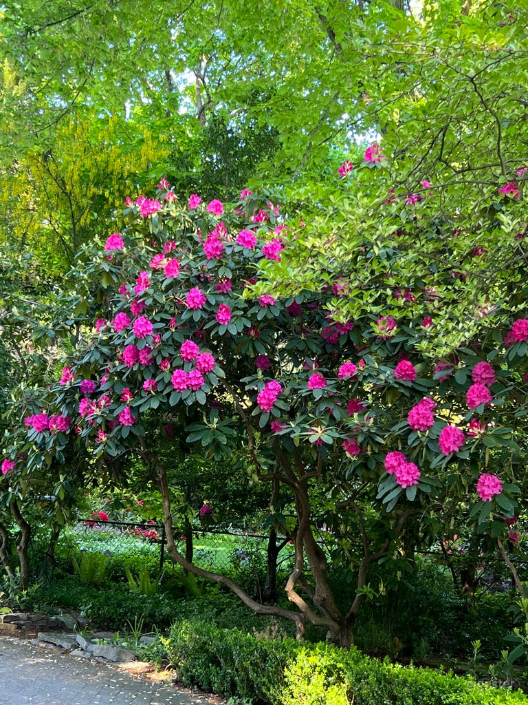  Oasis Zen Garden near Spanish Banks 