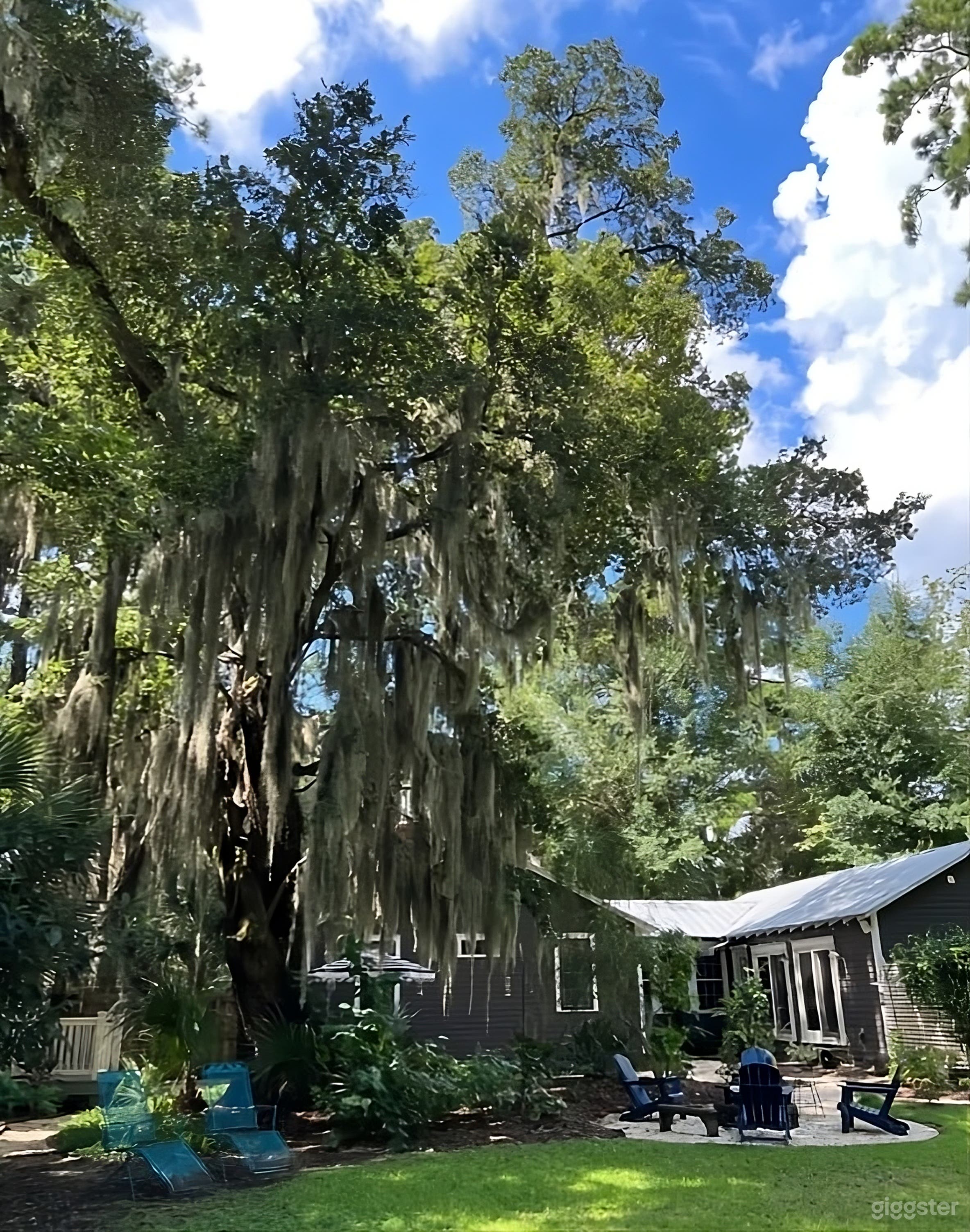 Enchanting and Lush Backyard Photo 4