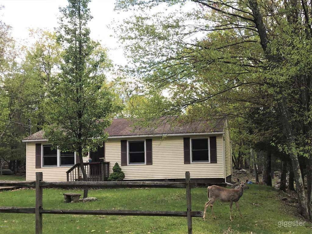 Cute Ranch in Scenic Poconos Photo 3