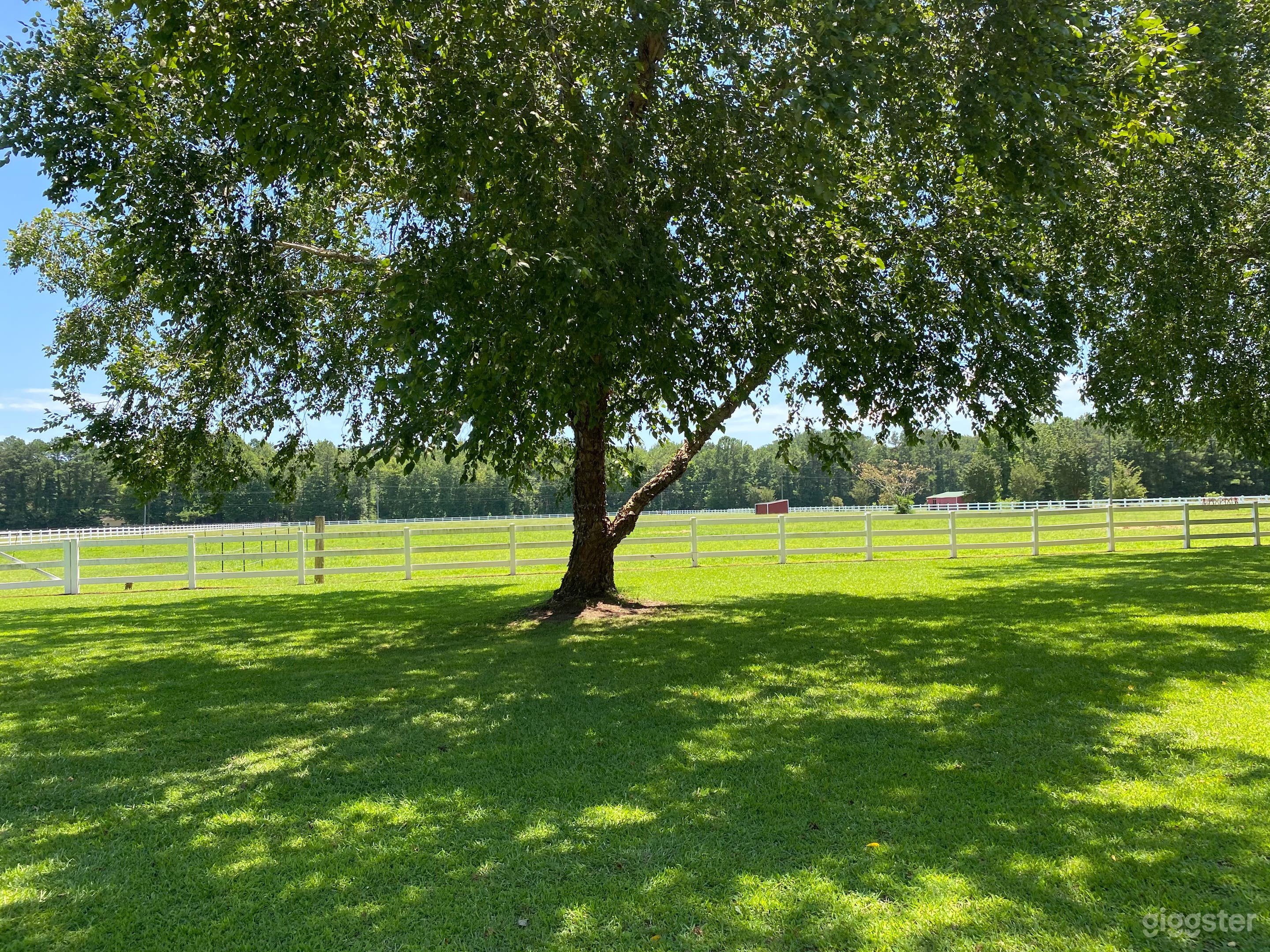 Buyout: Dream Ranch &amp; Farms (sanctuary for horses &amp; more)  Photo 4