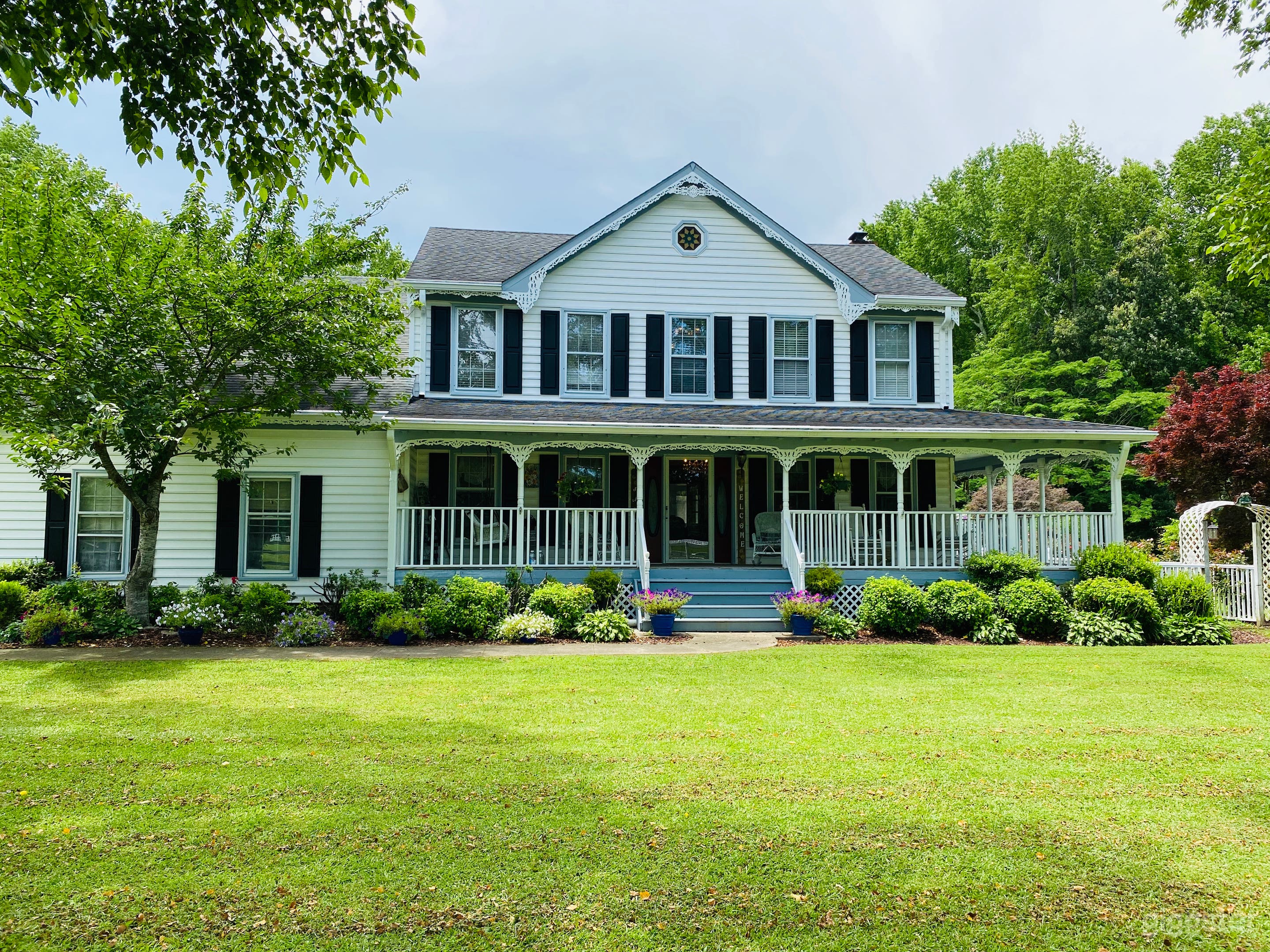 Buyout: Dream Ranch &amp; Farms (sanctuary for horses &amp; more)  Photo 2