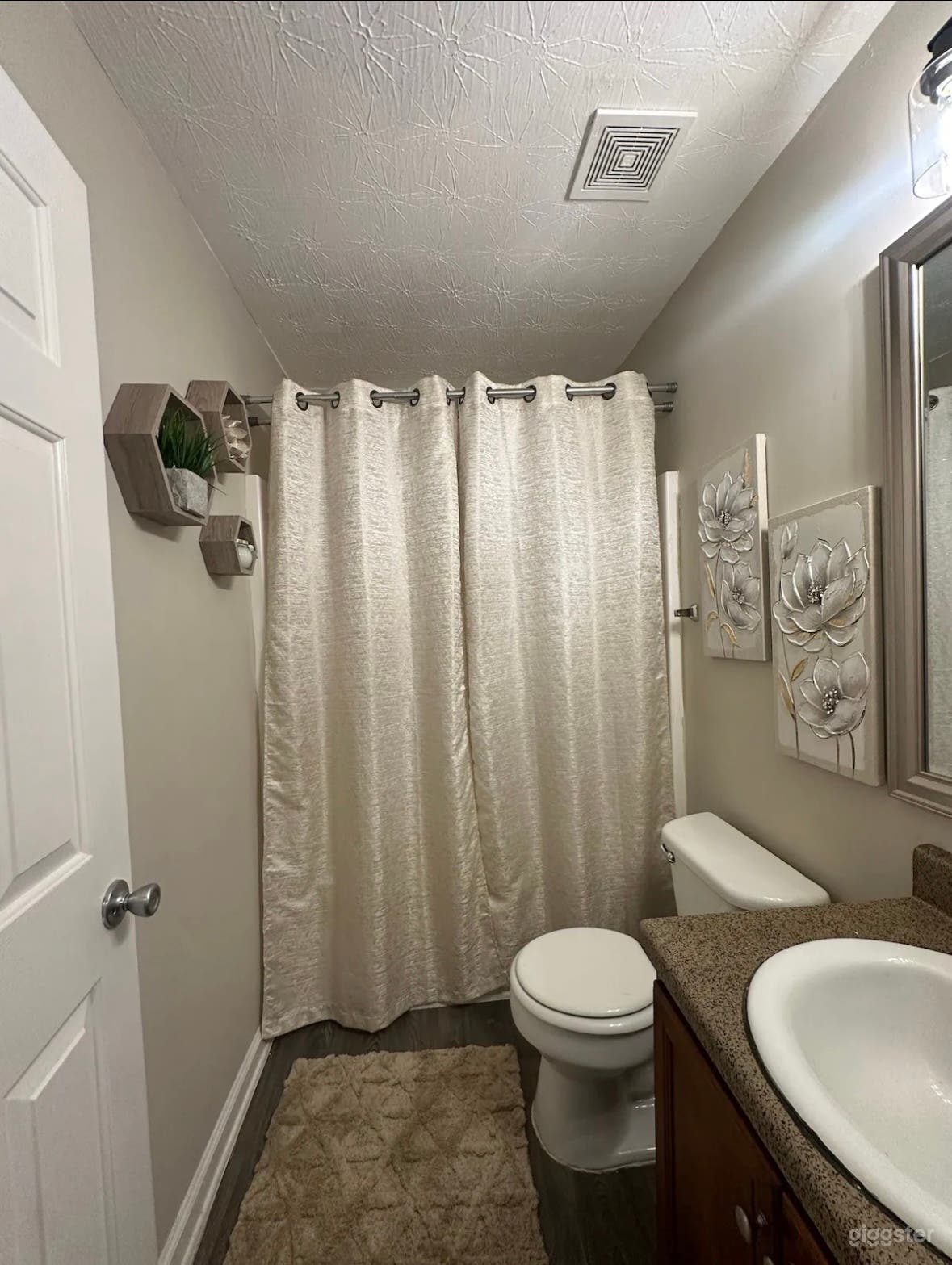 Fully furnished basement with heated pool  Photo 2