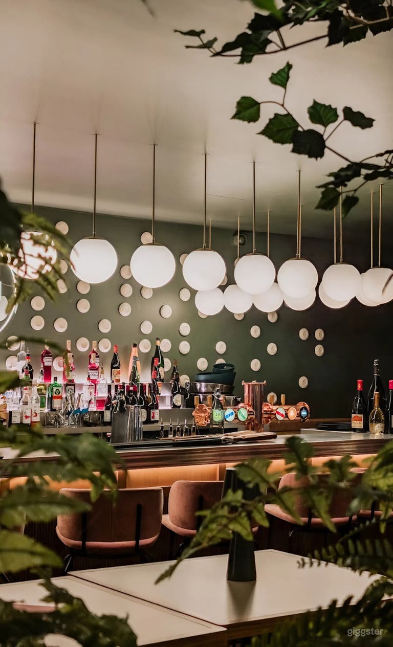  Chic Paris-Style Shooting Bar & Lounge 