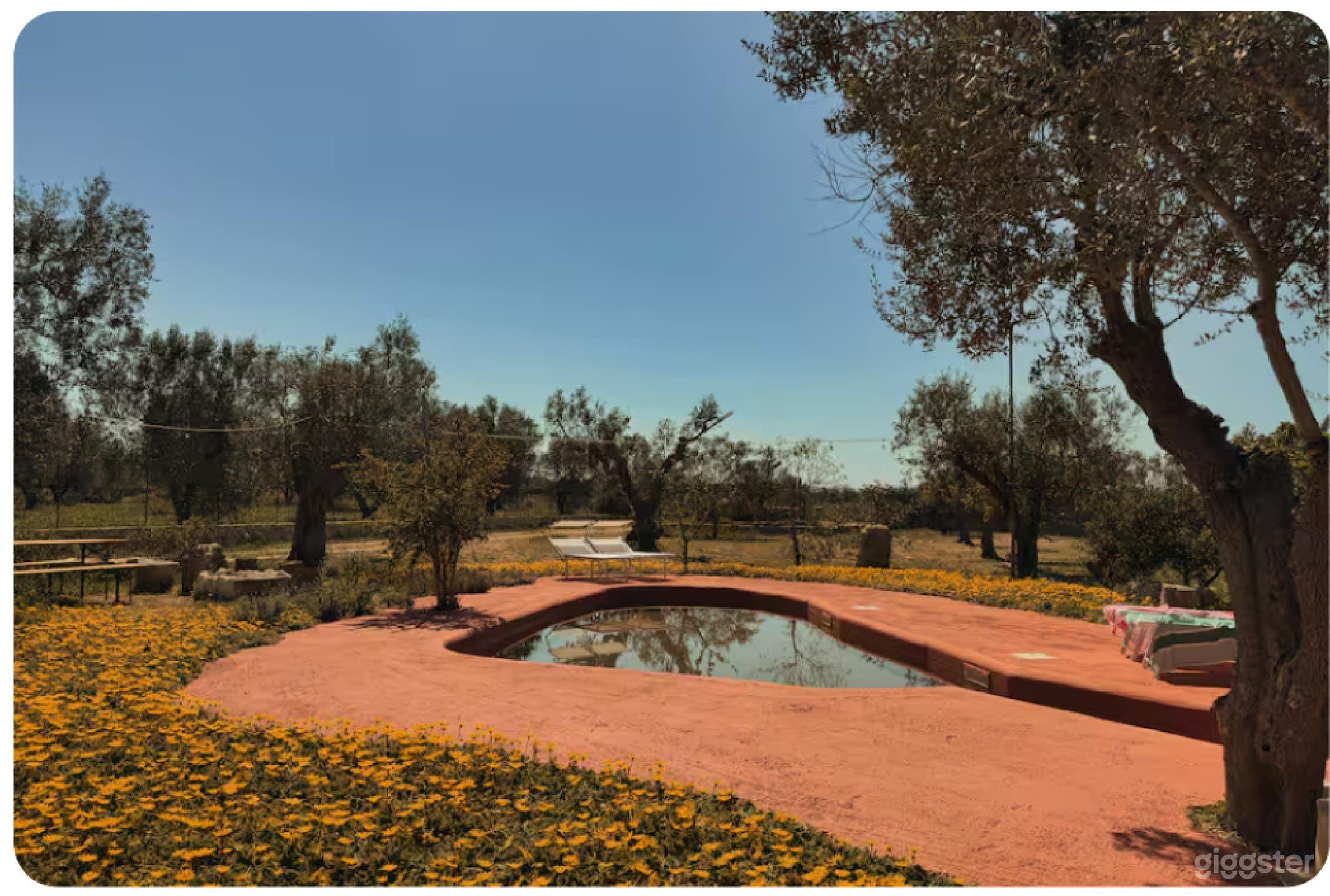 Foto di Piscina Terra Rossa e Vista sulla Campagna 3