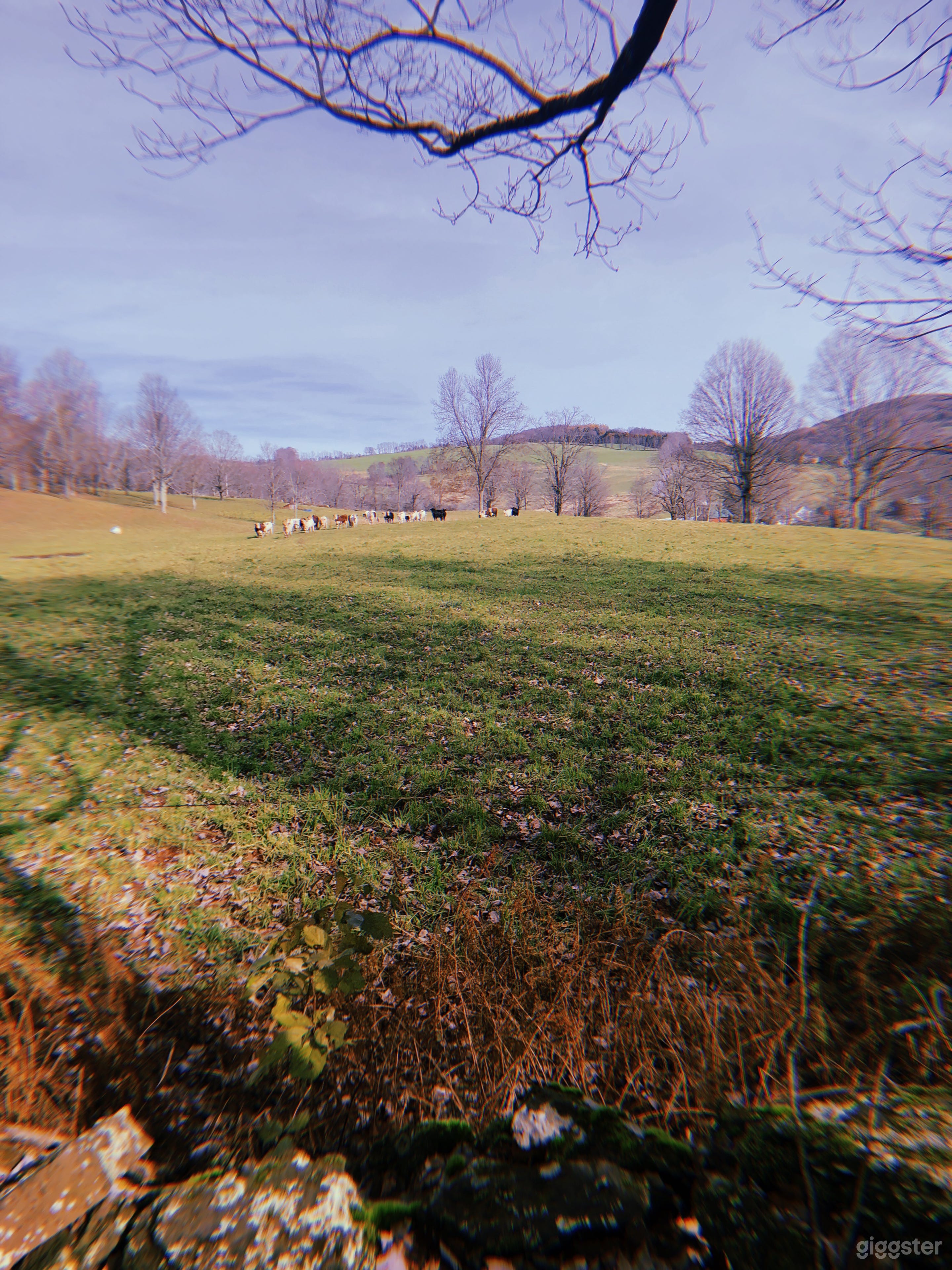 1884 Historic Victorian Catskills Venue Photo 2