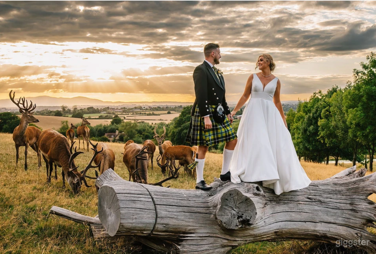 A 25 Acre Style Deer Park Grounds Photo 3