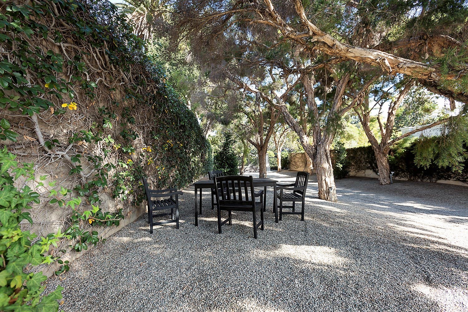 Touch of Grey Photo 3