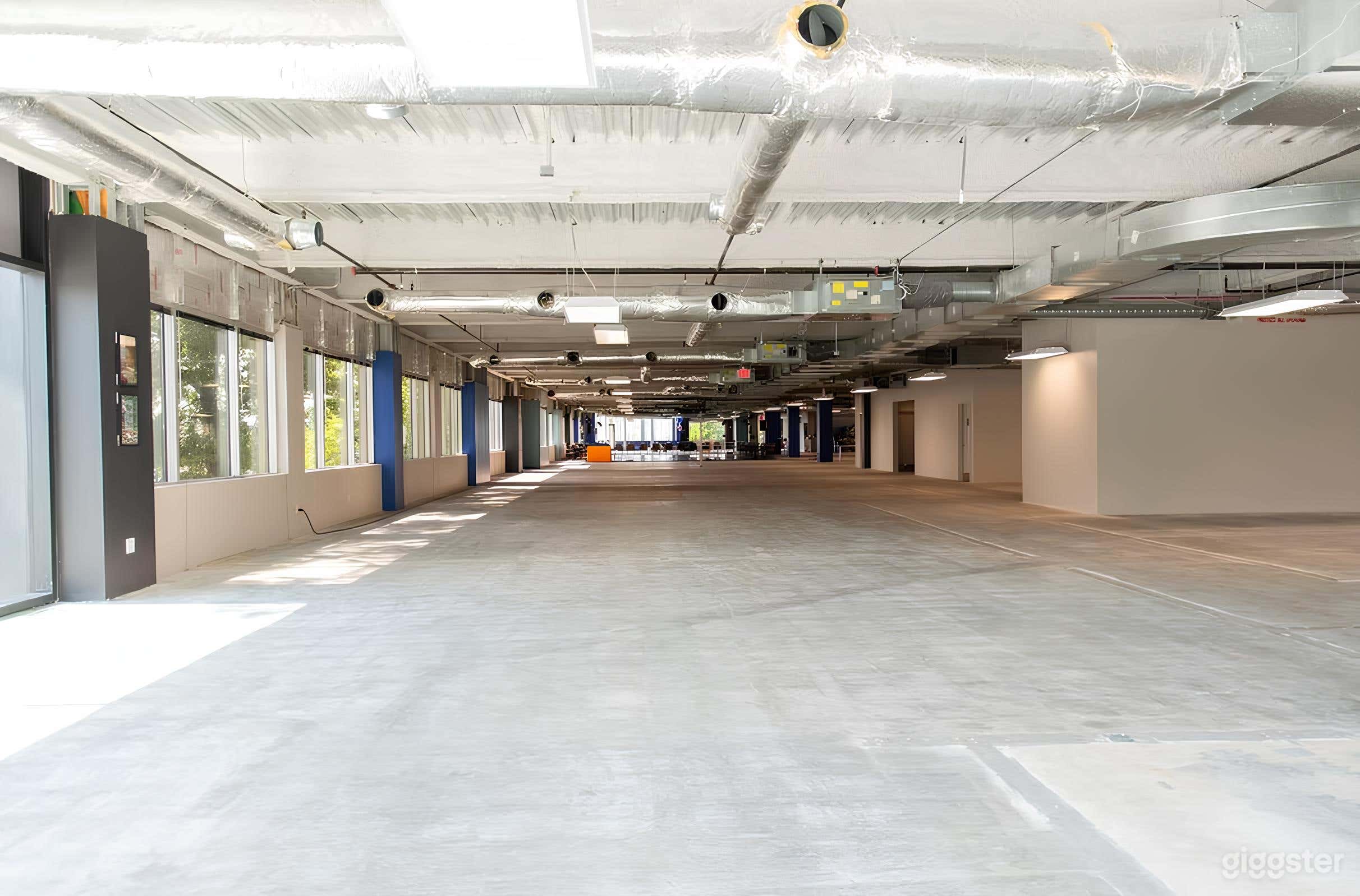 North Gallery (Full Length Windows) Photo 1