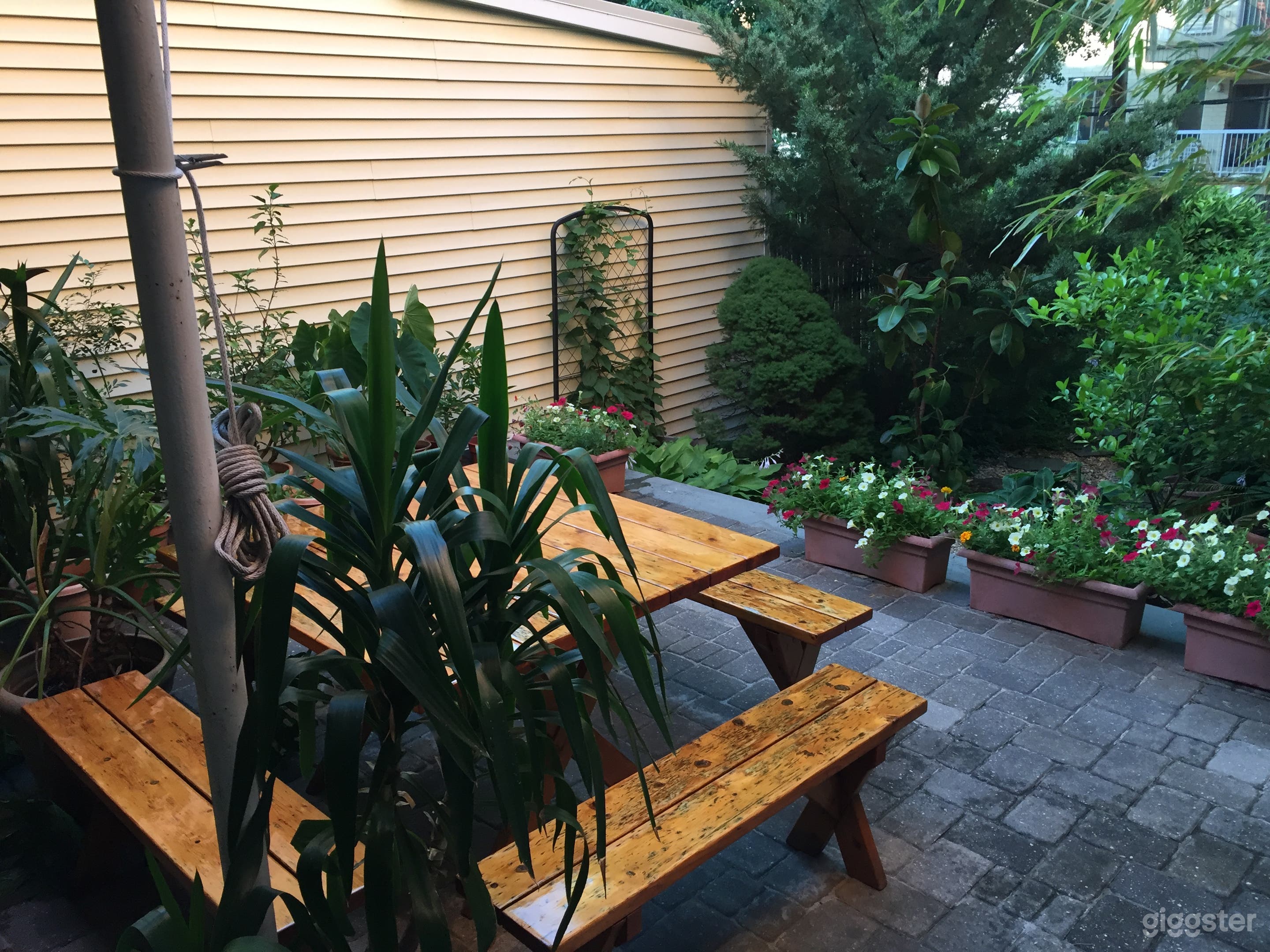 Green-Wood Tiny Frame House Photo 3