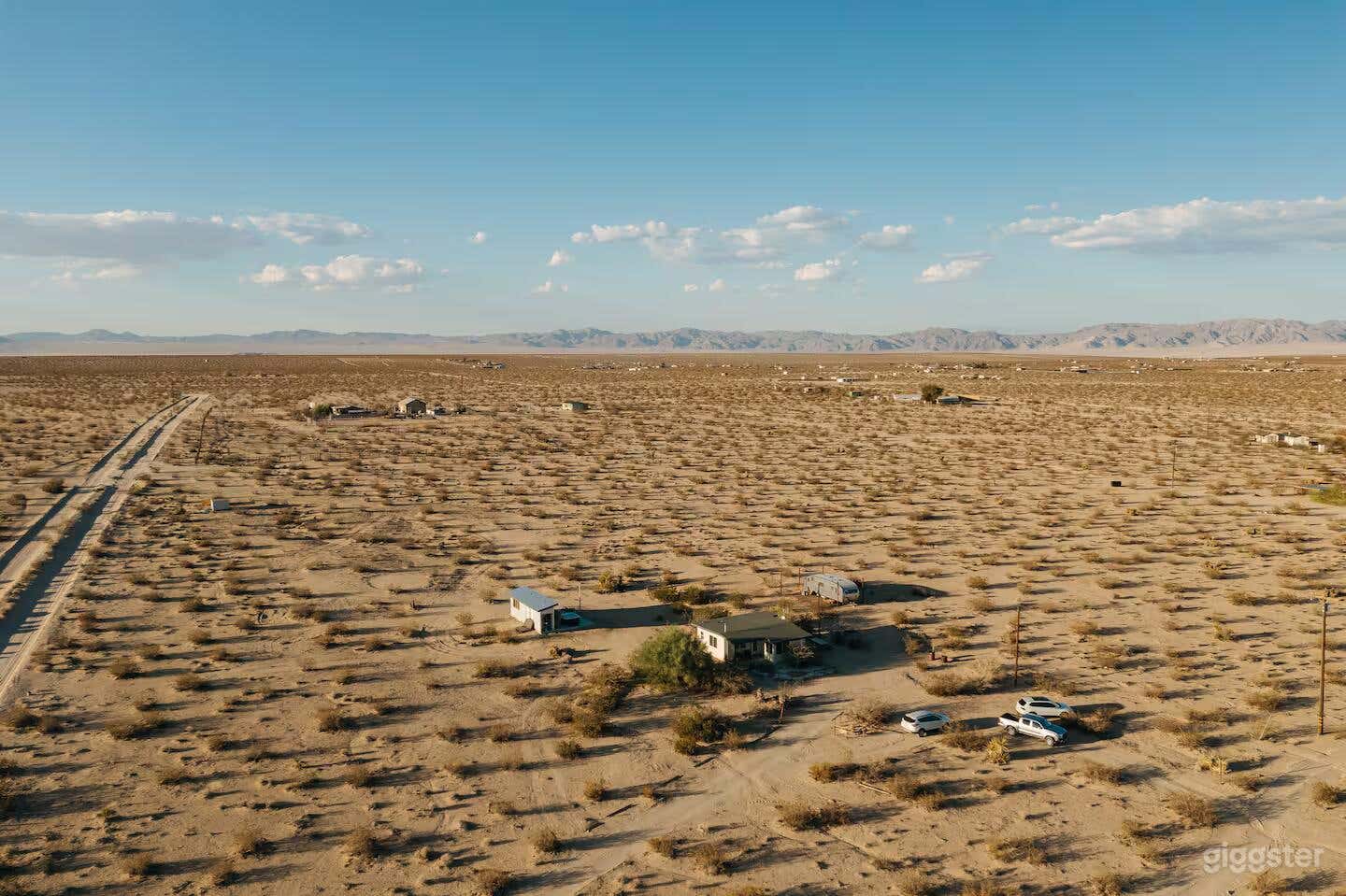 Little Joshua Tree Photo 1