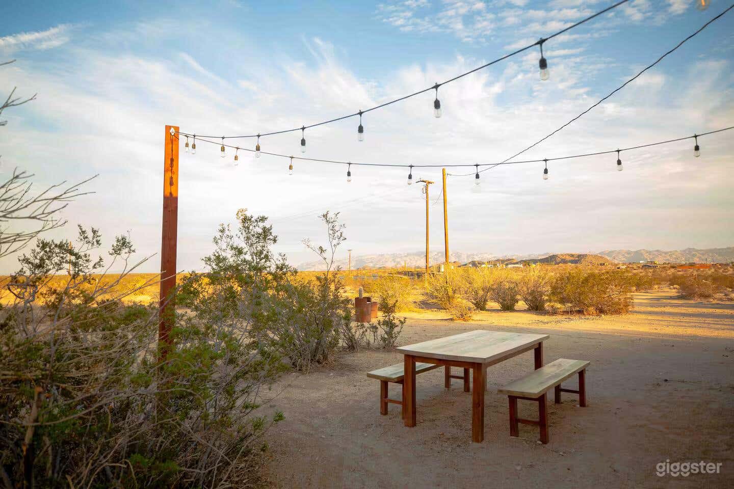 Little Joshua Tree Photo 2