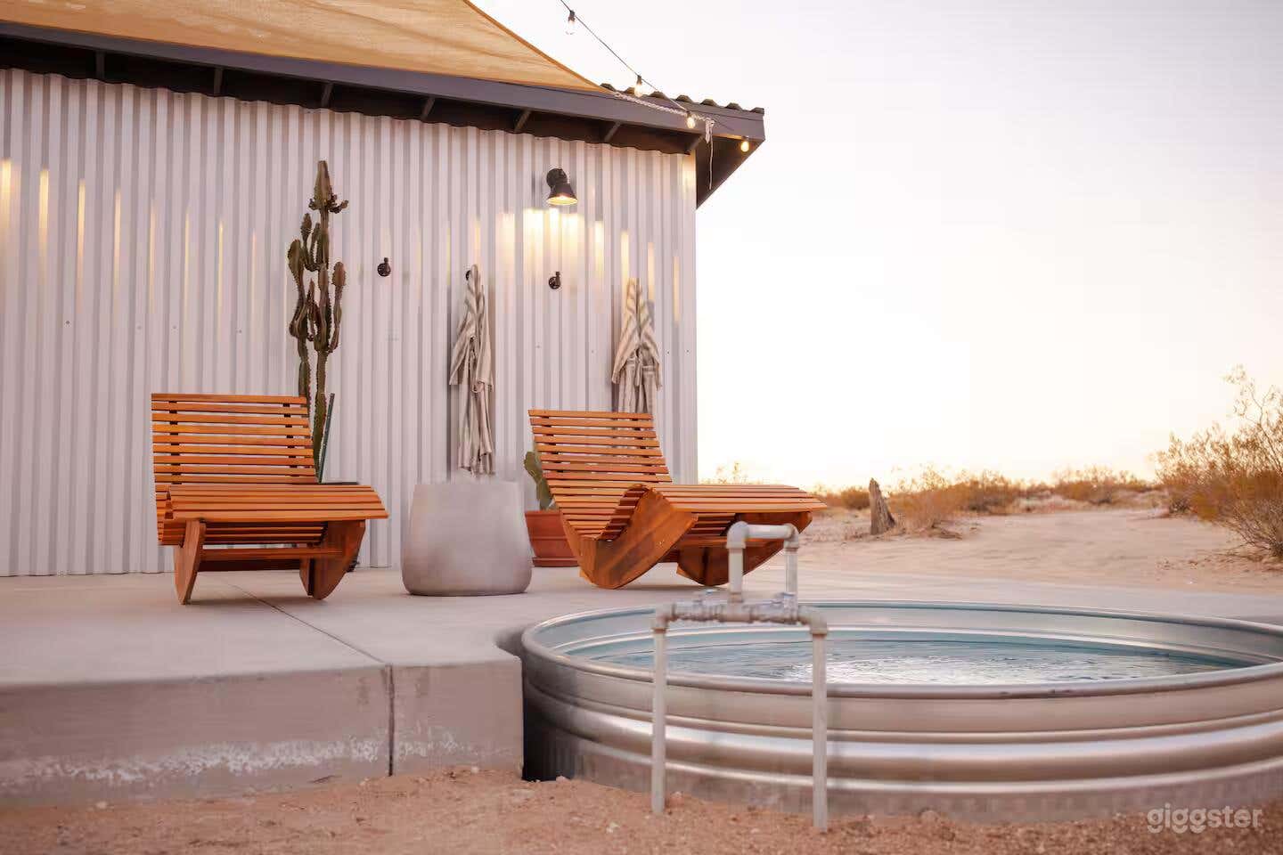 Little Joshua Tree Photo 4