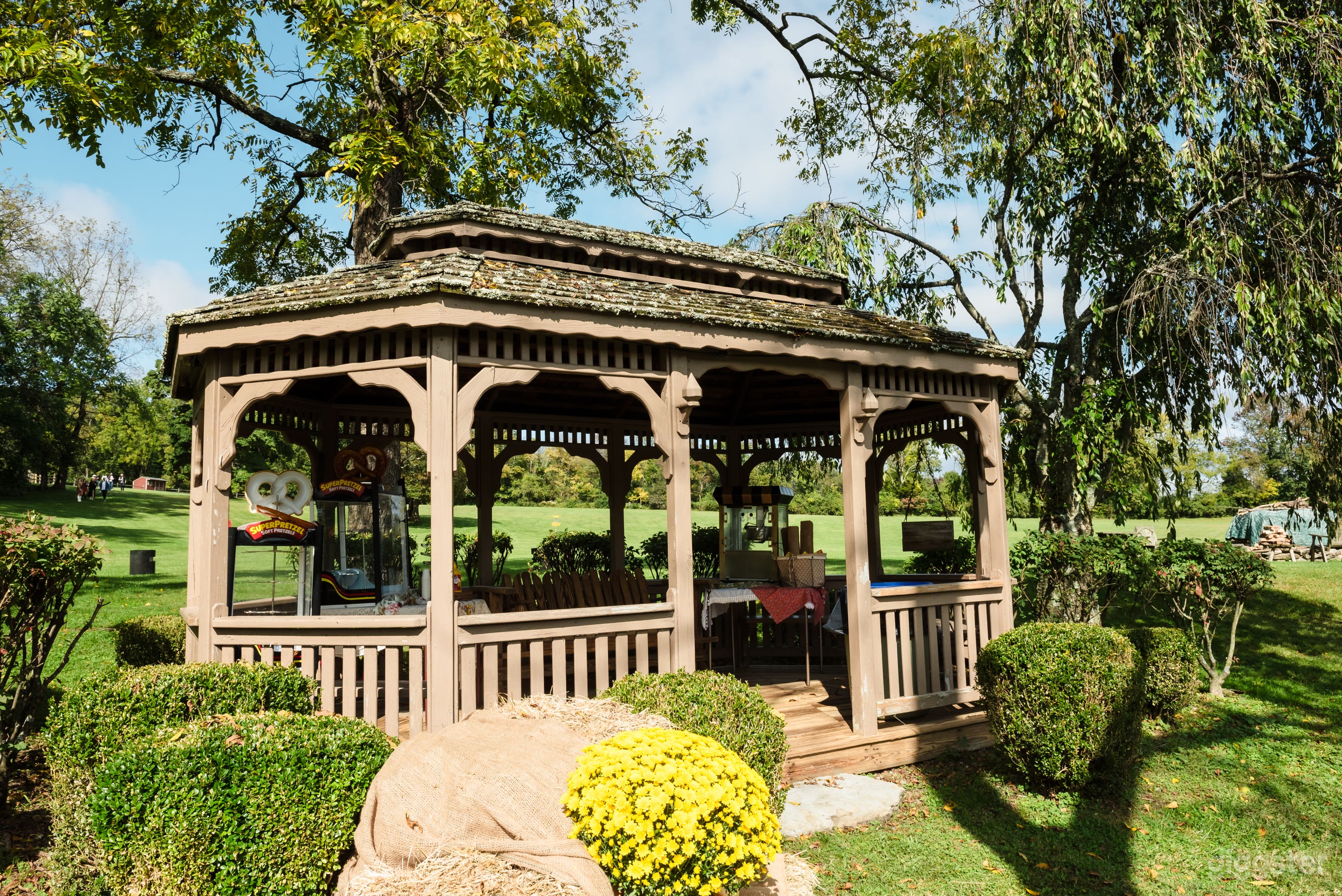 Family Farm Estate: Private Outdoor Paradise  Photo 4