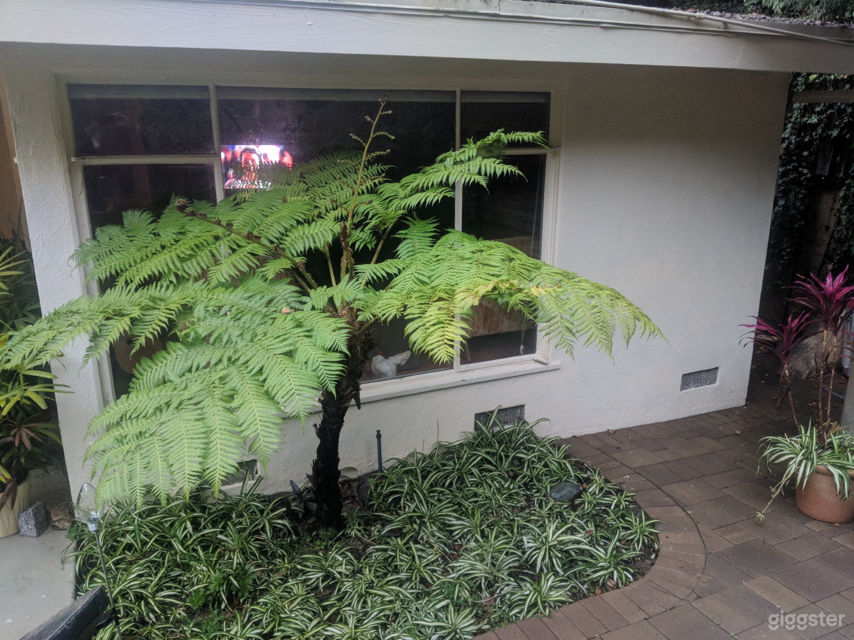 Beautiful All American home. Photo 4