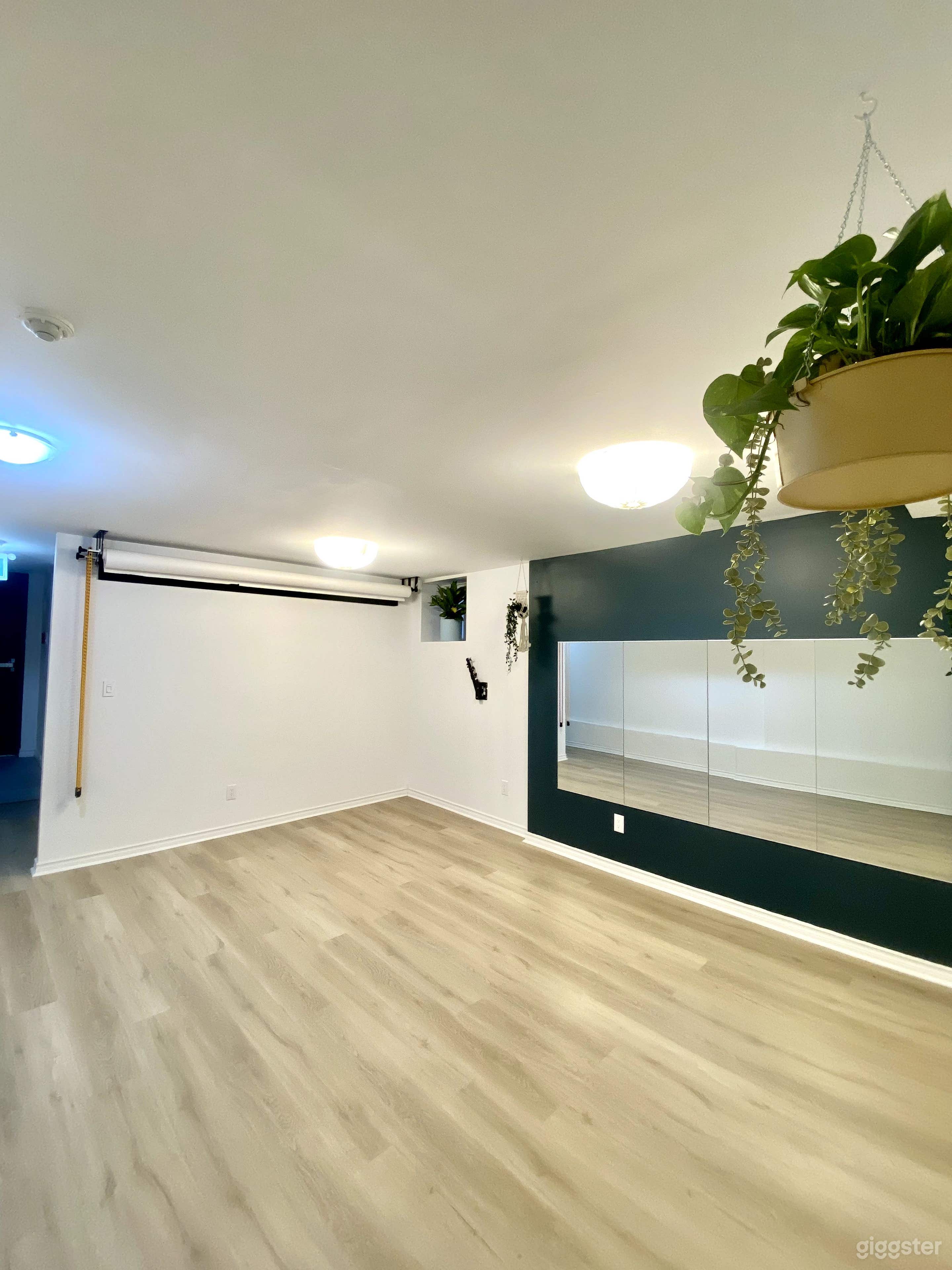 White &amp; Black paper back drop