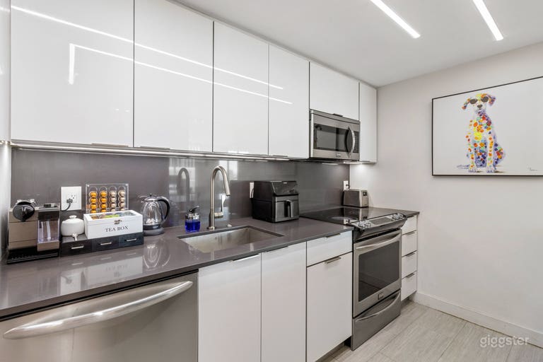  Edgewater Miami Modern Grand Piano Zen Retreat 