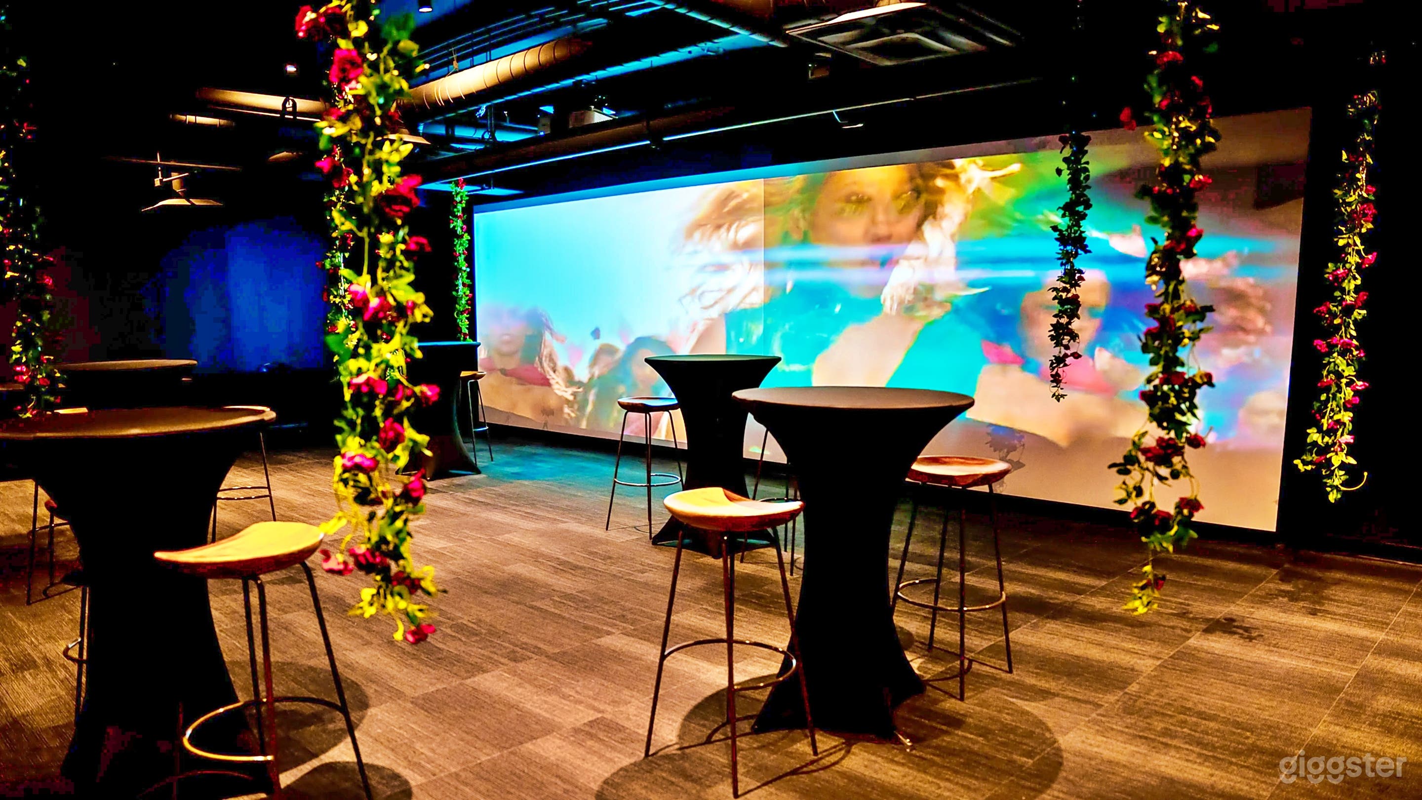 Small Studio on Mezzanine with 30-foot Screen Photo 1