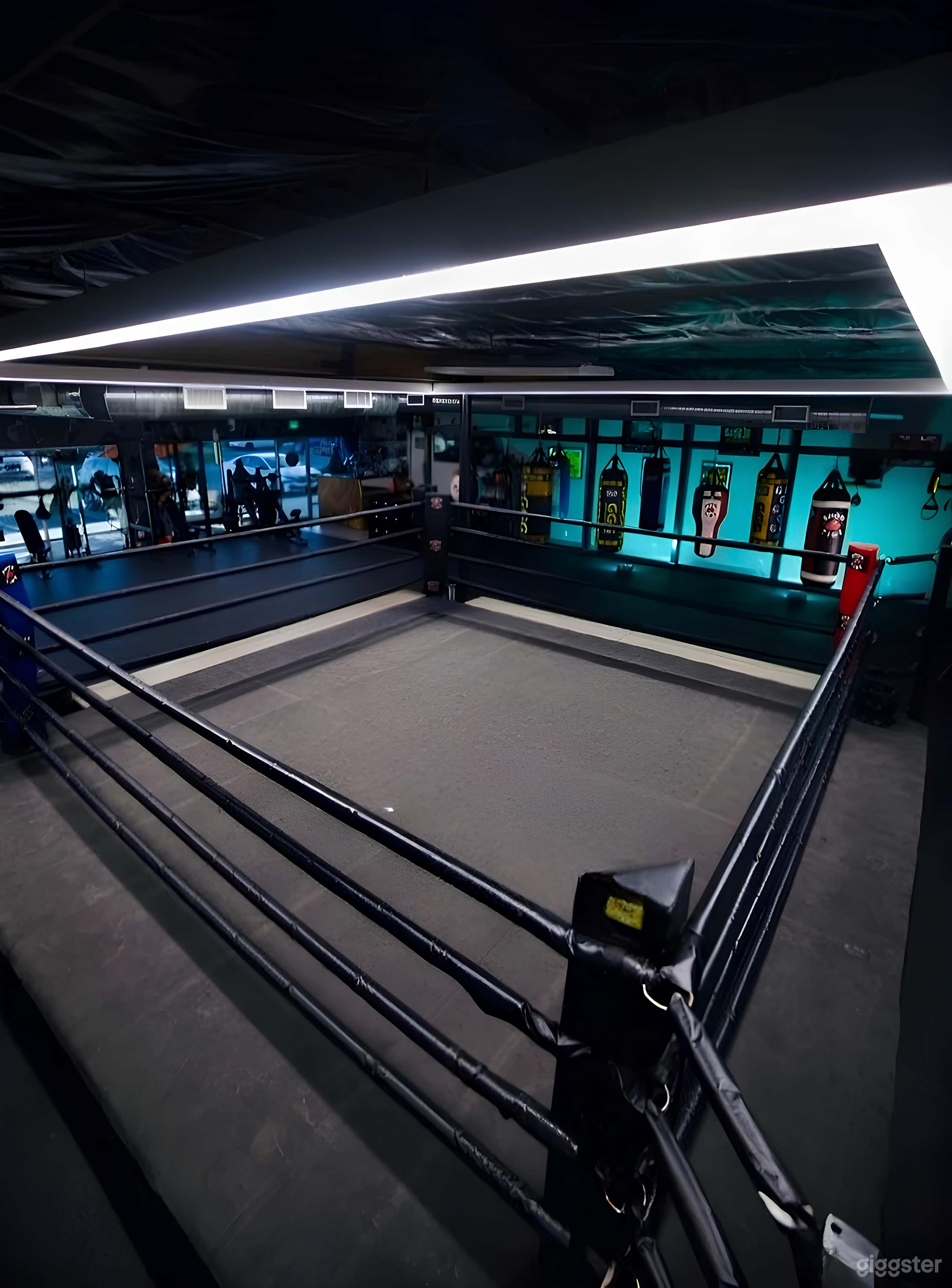 Cinematic Boxing & Fitness Gym in Los Angeles Photo 3