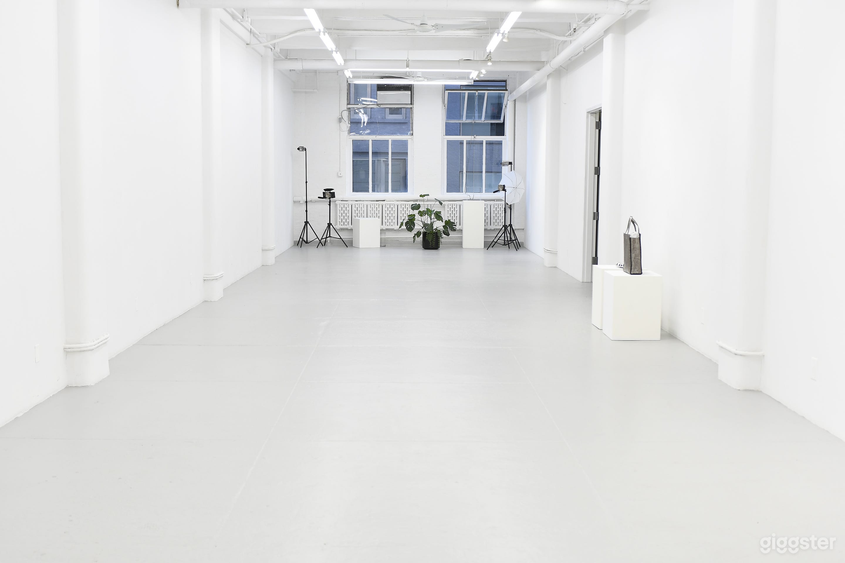 Facing the two large north-facing windows on the 3rd floor. See the double door entrance way to the right, just after the purse on the pedestal. 