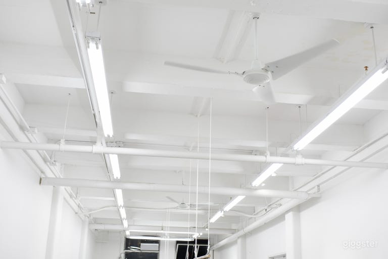  The lighting is professionally installed gallery lighting including both spot lighting and track lighting. Ceiling fans, with adjustable speeds, to ensure guests are kept cool.  