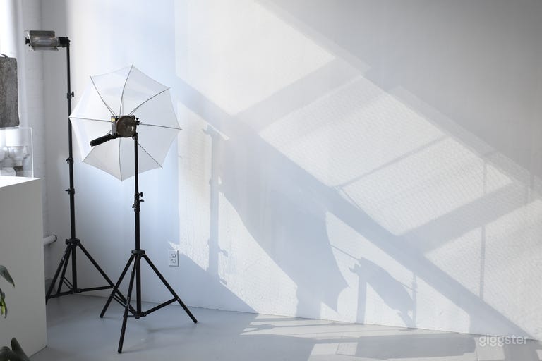  Beautiful northern light, as seen on a low-light day, from the two large windows. Ideal for portrait photography.  