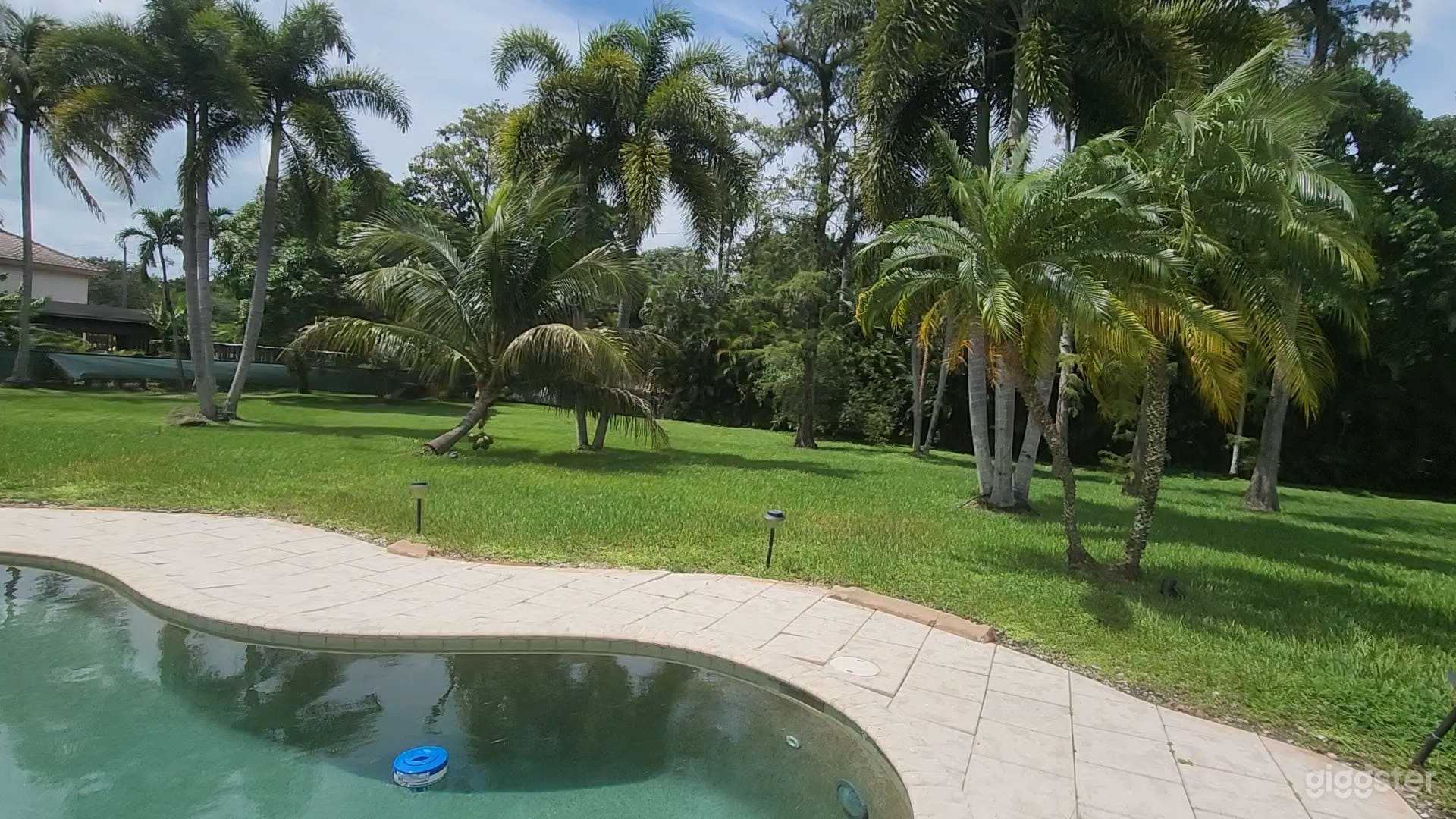 So many tropical trees on property for a lush backdrop to any event. Decor may be used as desired anywhere throught the property to suit your vibe