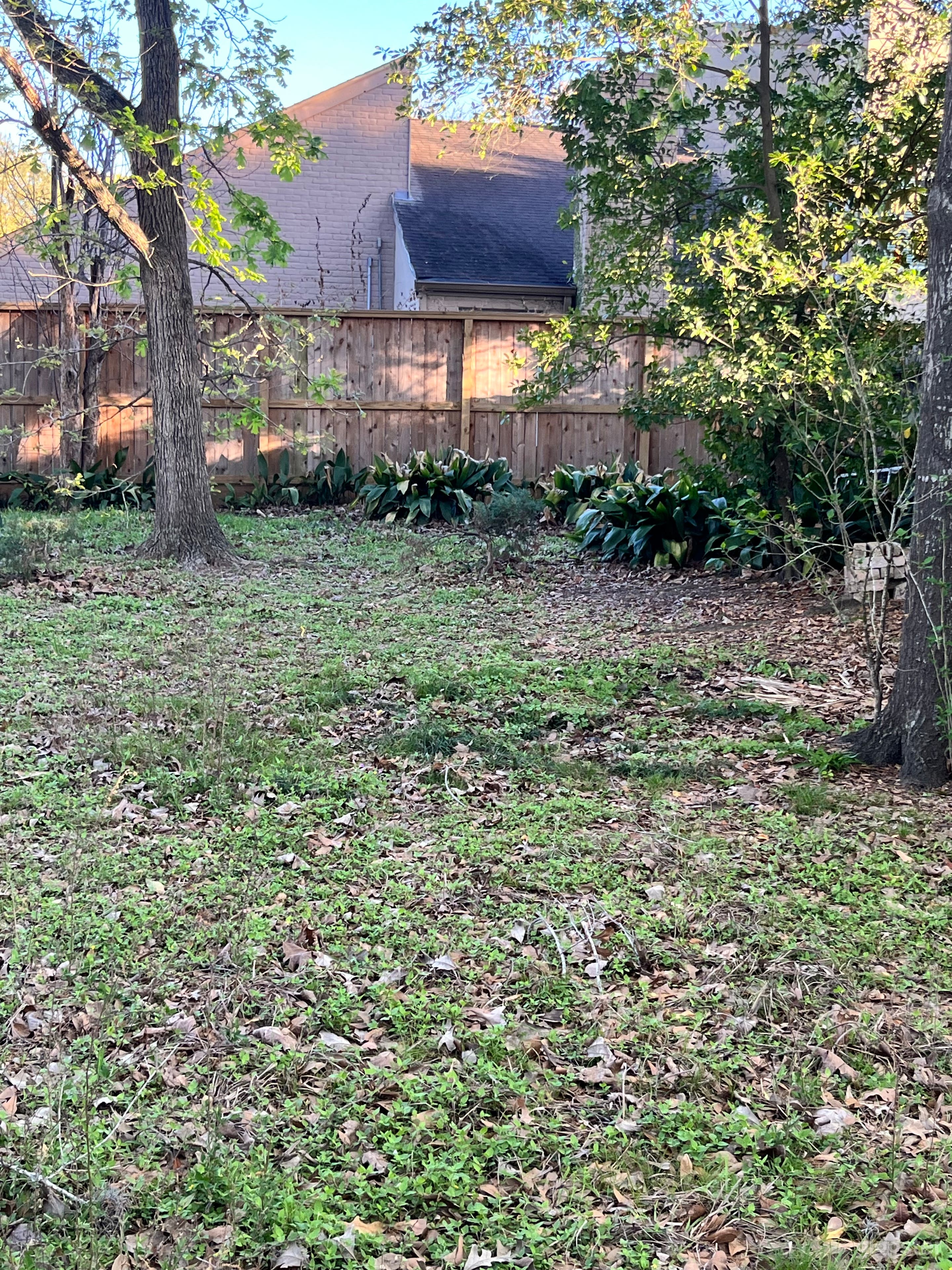 Lush, Private Backyard & Garden Area – Great for Outdoor Photo 2