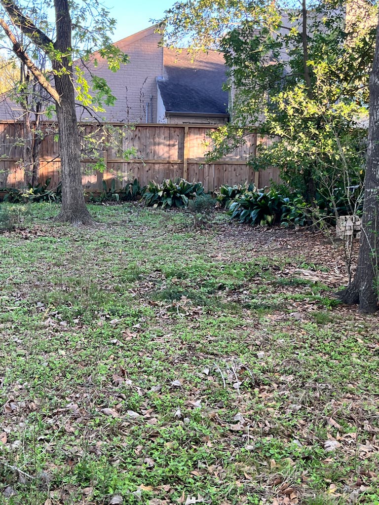  Lush, Private Backyard & Garden Area – Great for Outdoor 