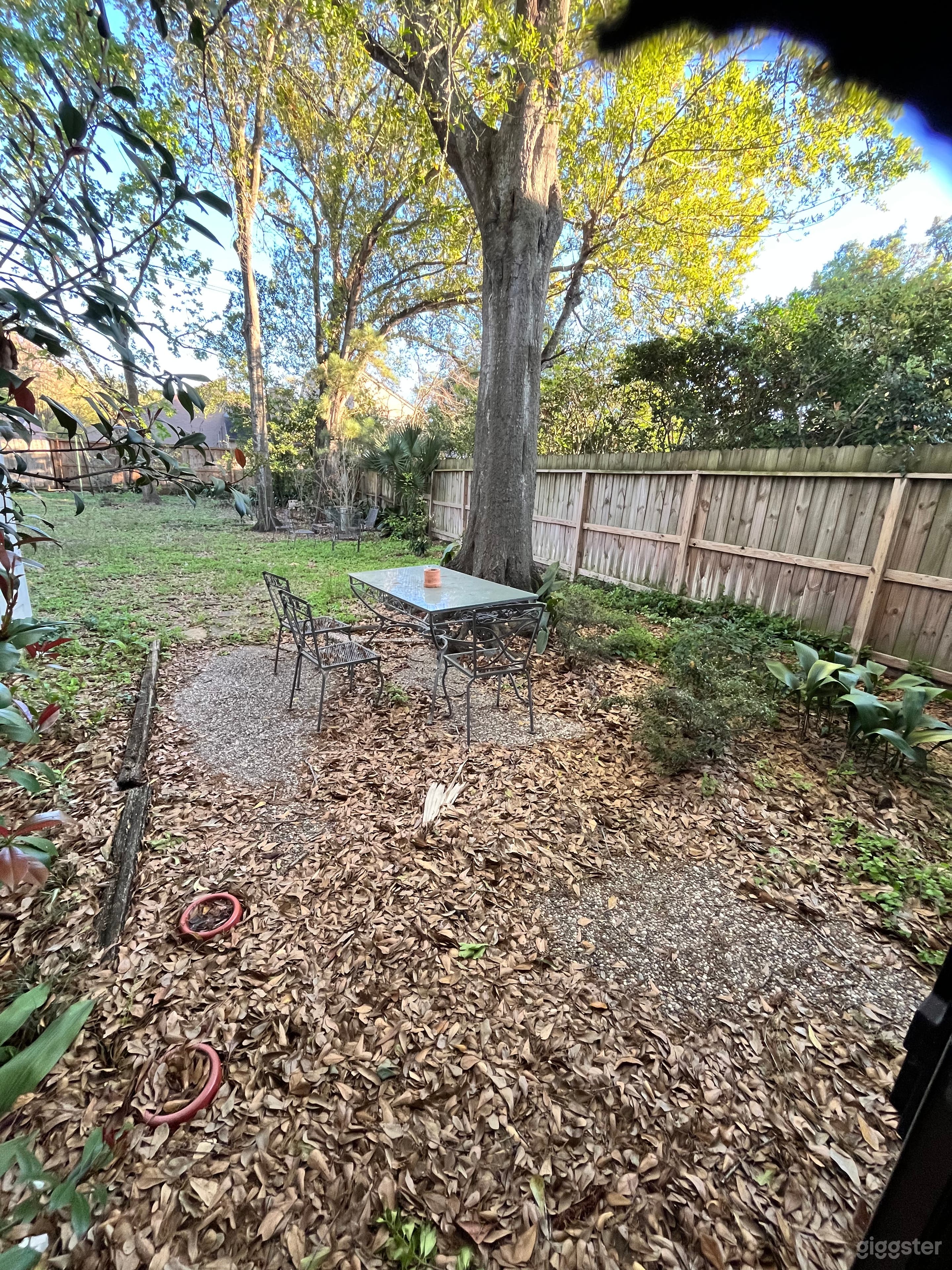 Lush, Private Backyard & Garden Area – Great for Outdoor Photo 3