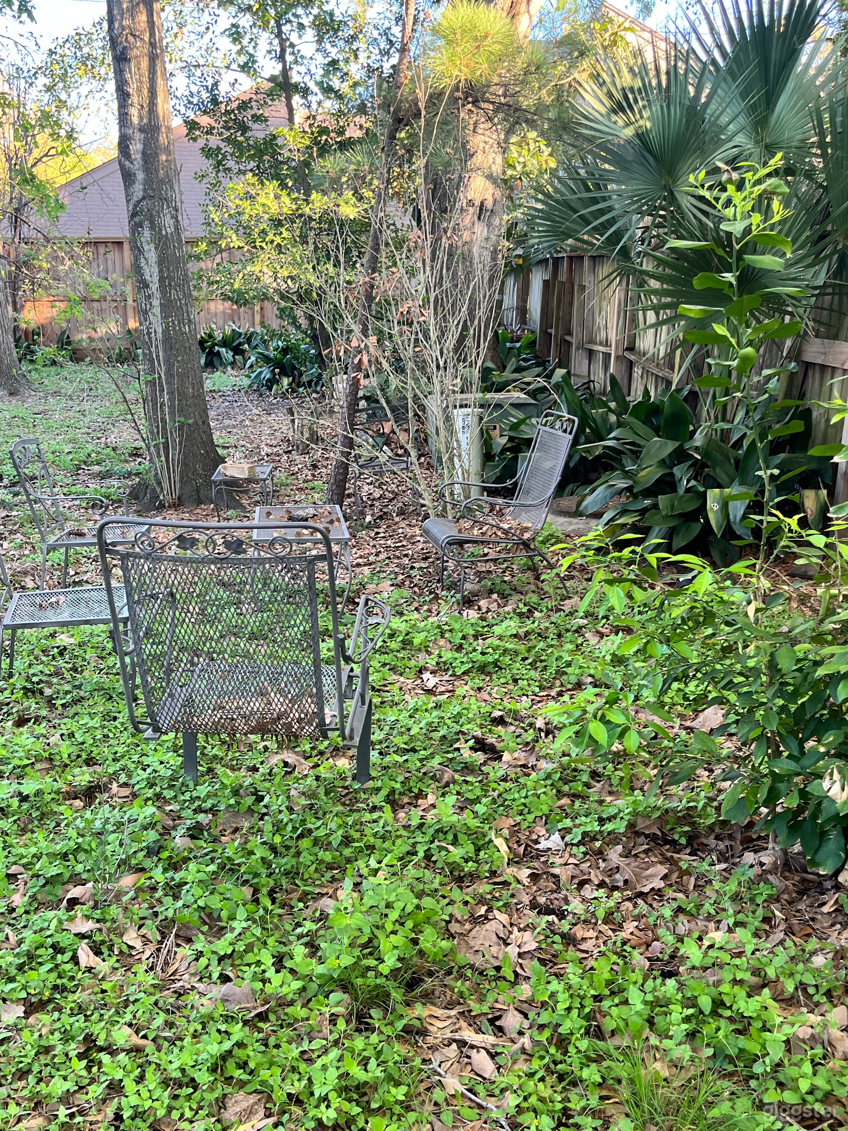 Lush, Private Backyard & Garden Area – Great for Outdoor Photo 4