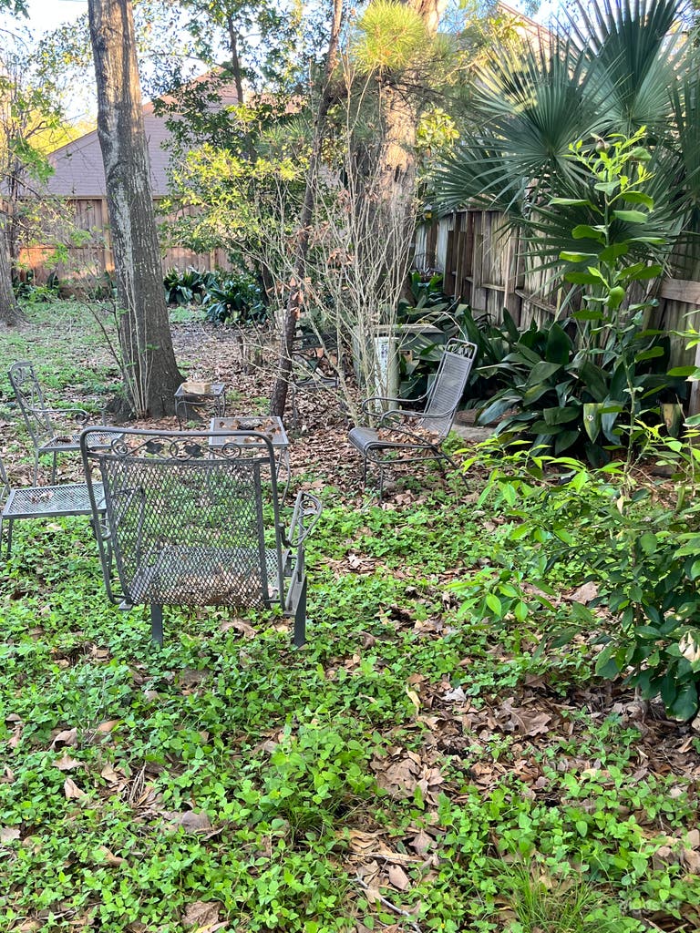  Lush, Private Backyard & Garden Area – Great for Outdoor 