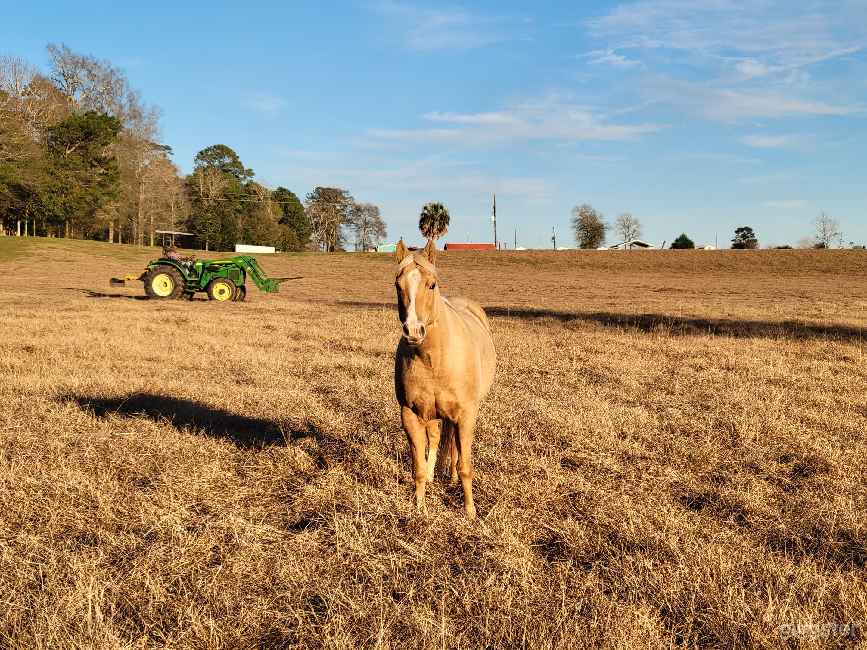 Hallmark Movie-Ready 54 Acre Ranch! Photo 2