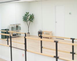  Mirrors and ballet bars  